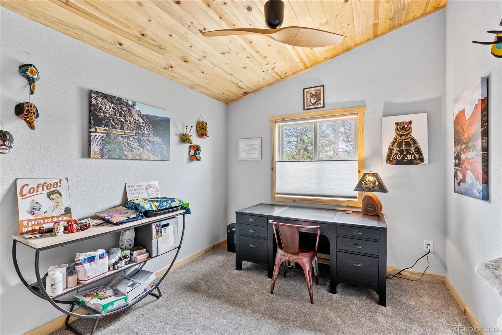 MLS Image #30 for 25884  mosier street,conifer, Colorado