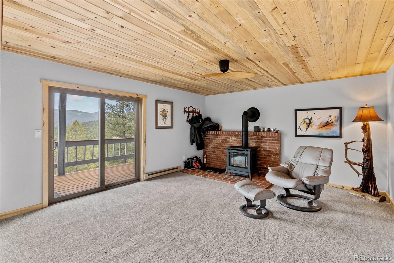 MLS Image #35 for 25884  mosier street,conifer, Colorado