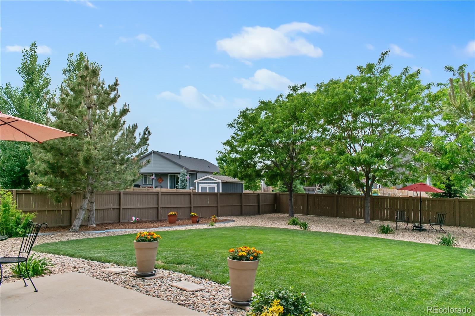 MLS Image #10 for 361  ellendale street,castle rock, Colorado