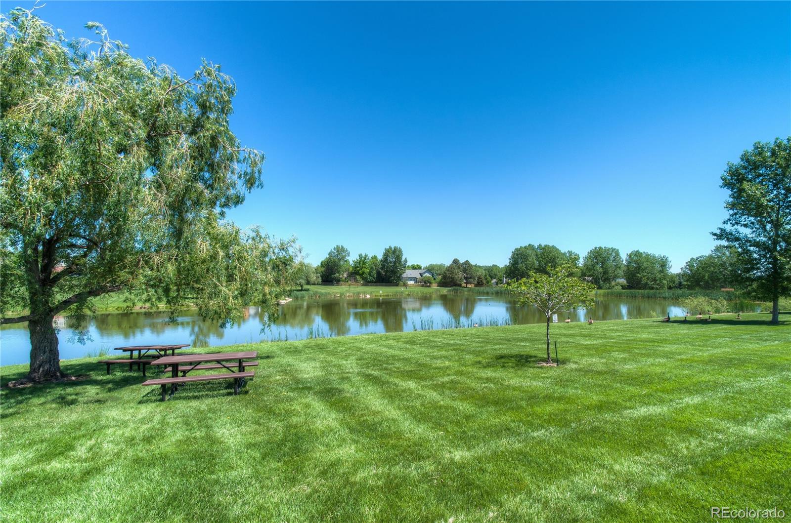 MLS Image #35 for 1854  mallard drive,superior, Colorado