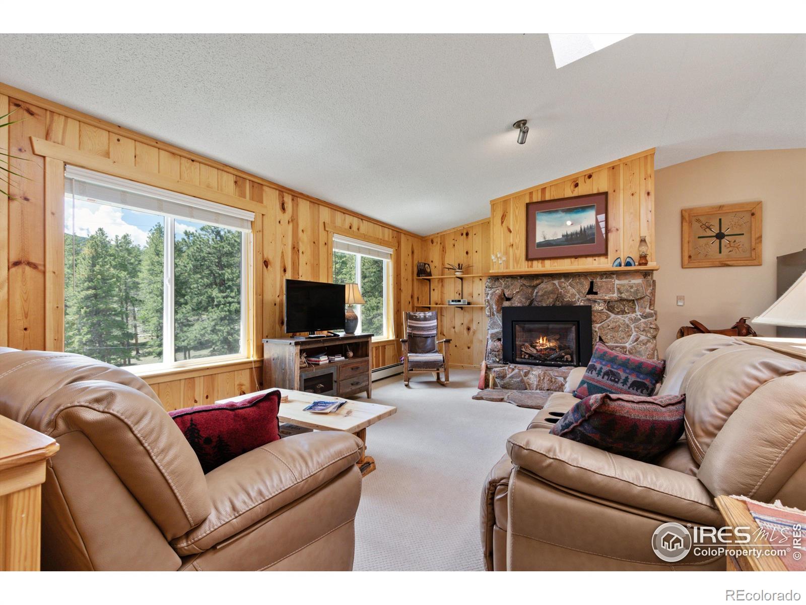 MLS Image #10 for 276  haugen slide road,allenspark, Colorado