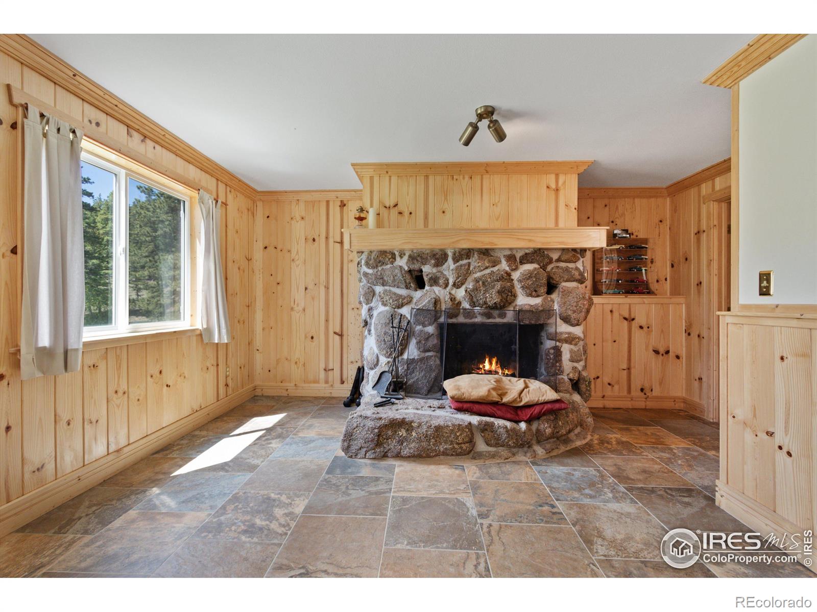 MLS Image #19 for 276  haugen slide road,allenspark, Colorado