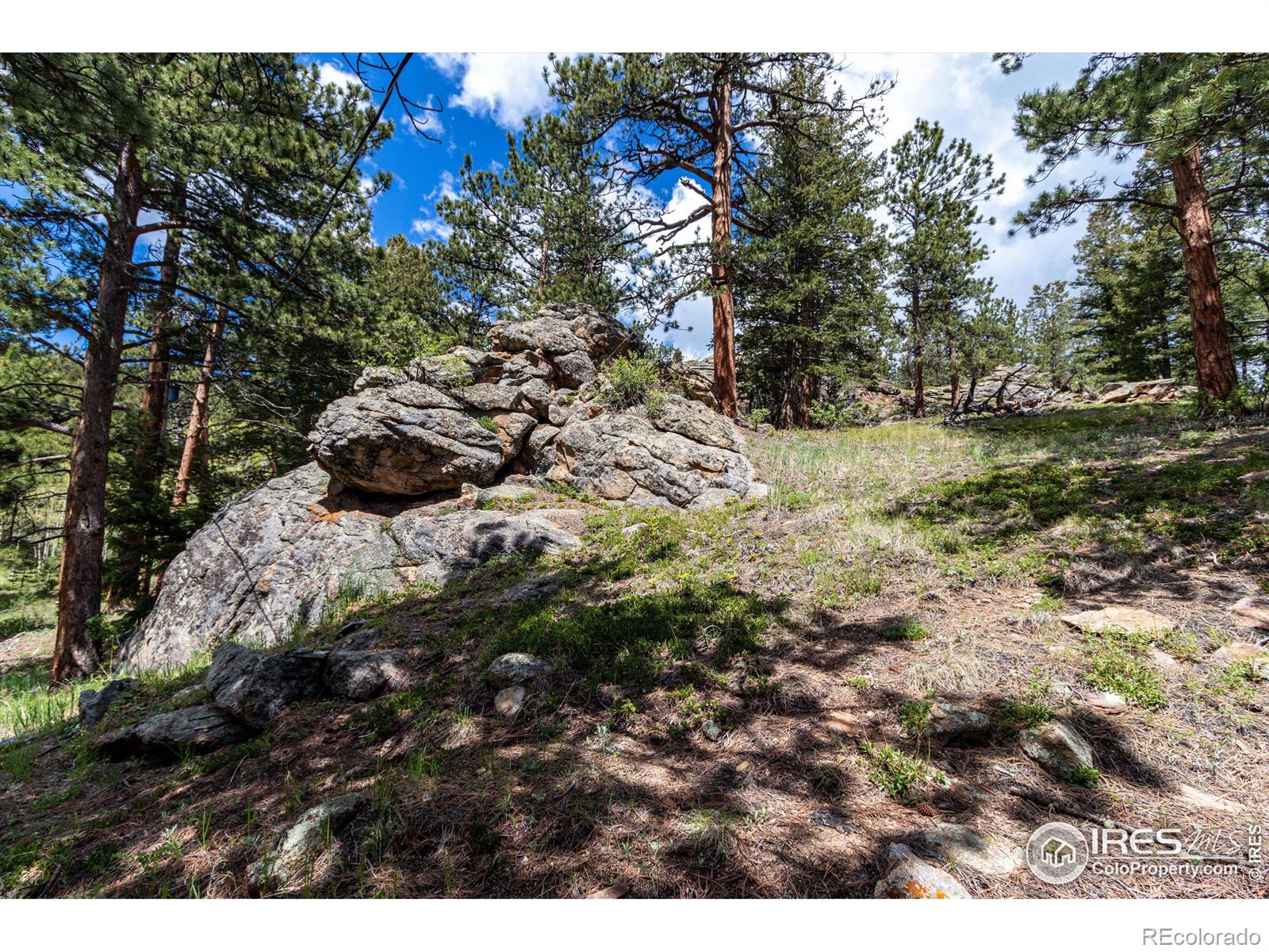 MLS Image #27 for 276  haugen slide road,allenspark, Colorado