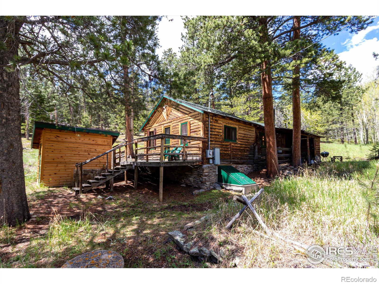 MLS Image #28 for 276  haugen slide road,allenspark, Colorado