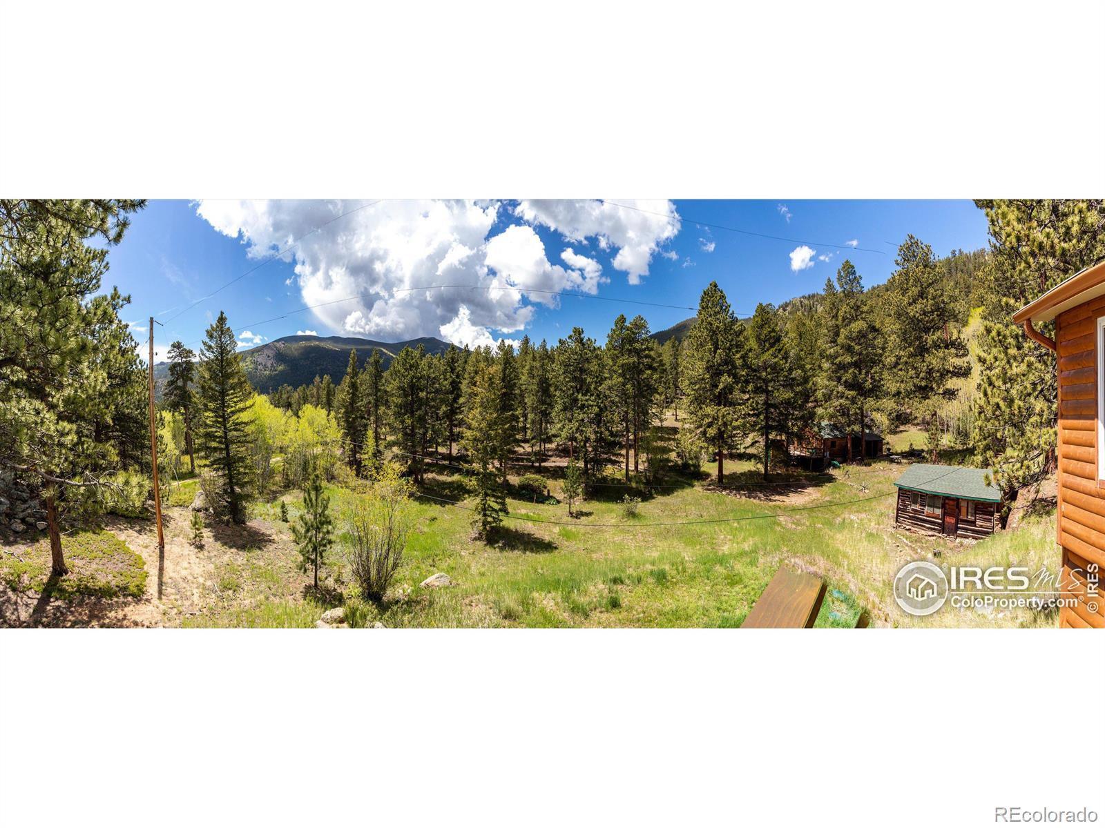 MLS Image #8 for 276  haugen slide road,allenspark, Colorado