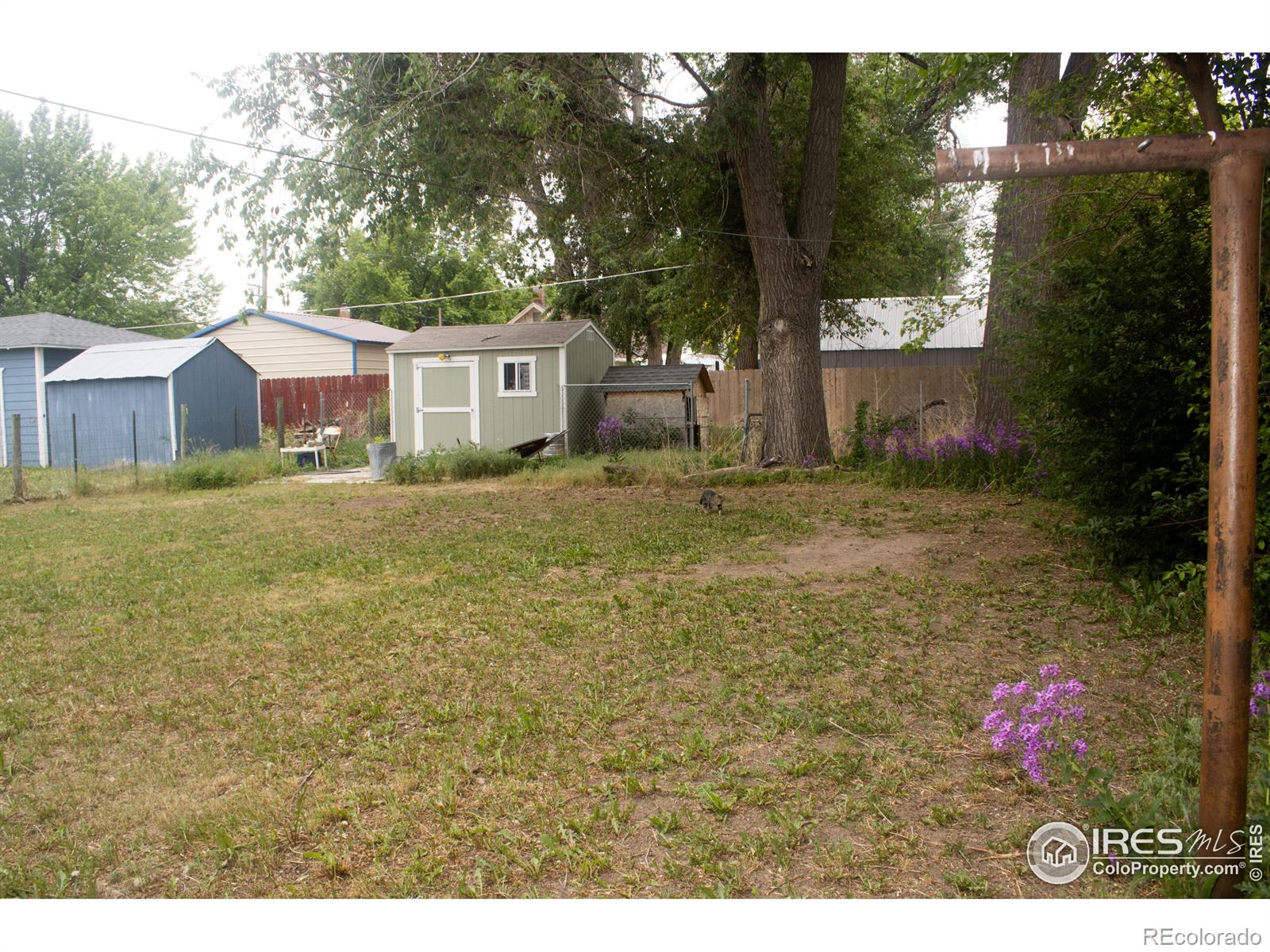 MLS Image #14 for 814  edmunds street,brush, Colorado