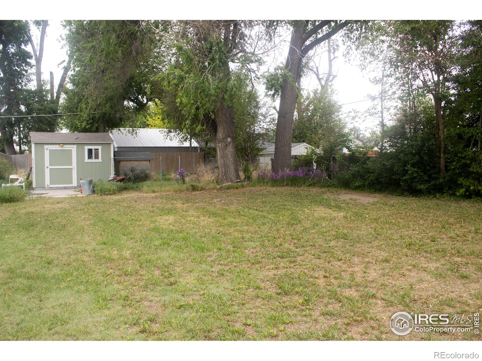 MLS Image #15 for 814  edmunds street,brush, Colorado