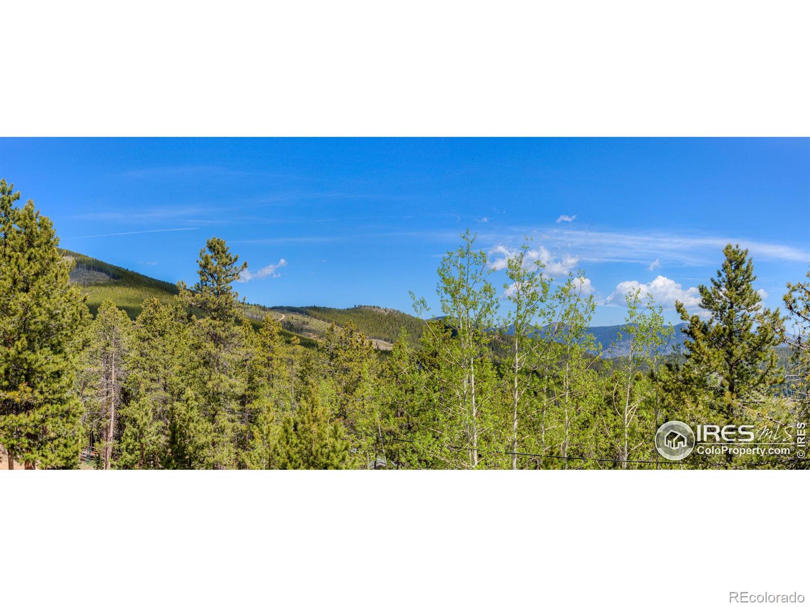 MLS Image #13 for 597  paiute road,evergreen, Colorado