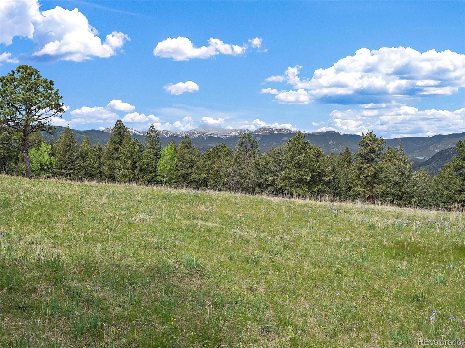 MLS Image #31 for 5389  sunset hill road,evergreen, Colorado