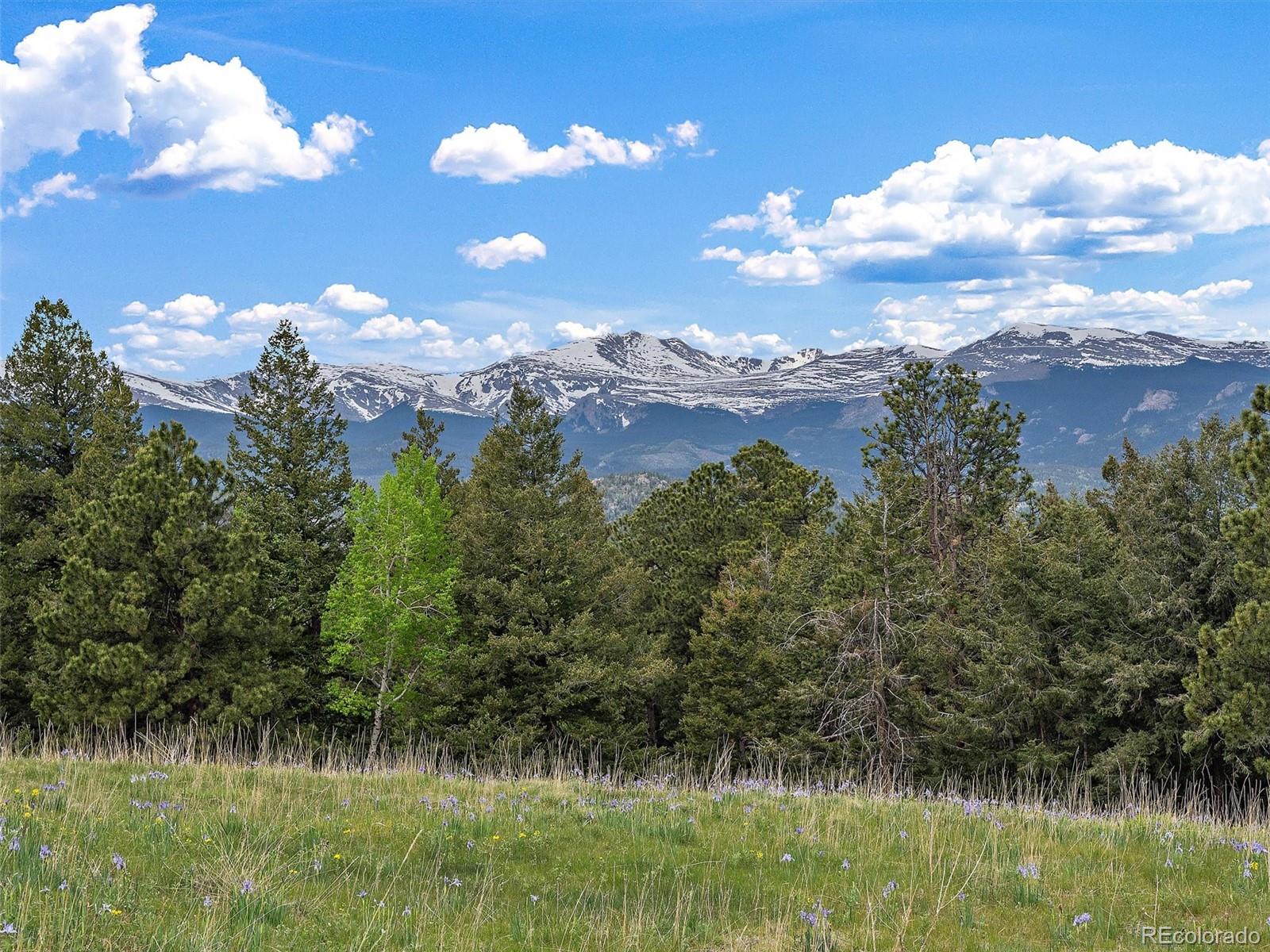 MLS Image #32 for 5389  sunset hill road,evergreen, Colorado