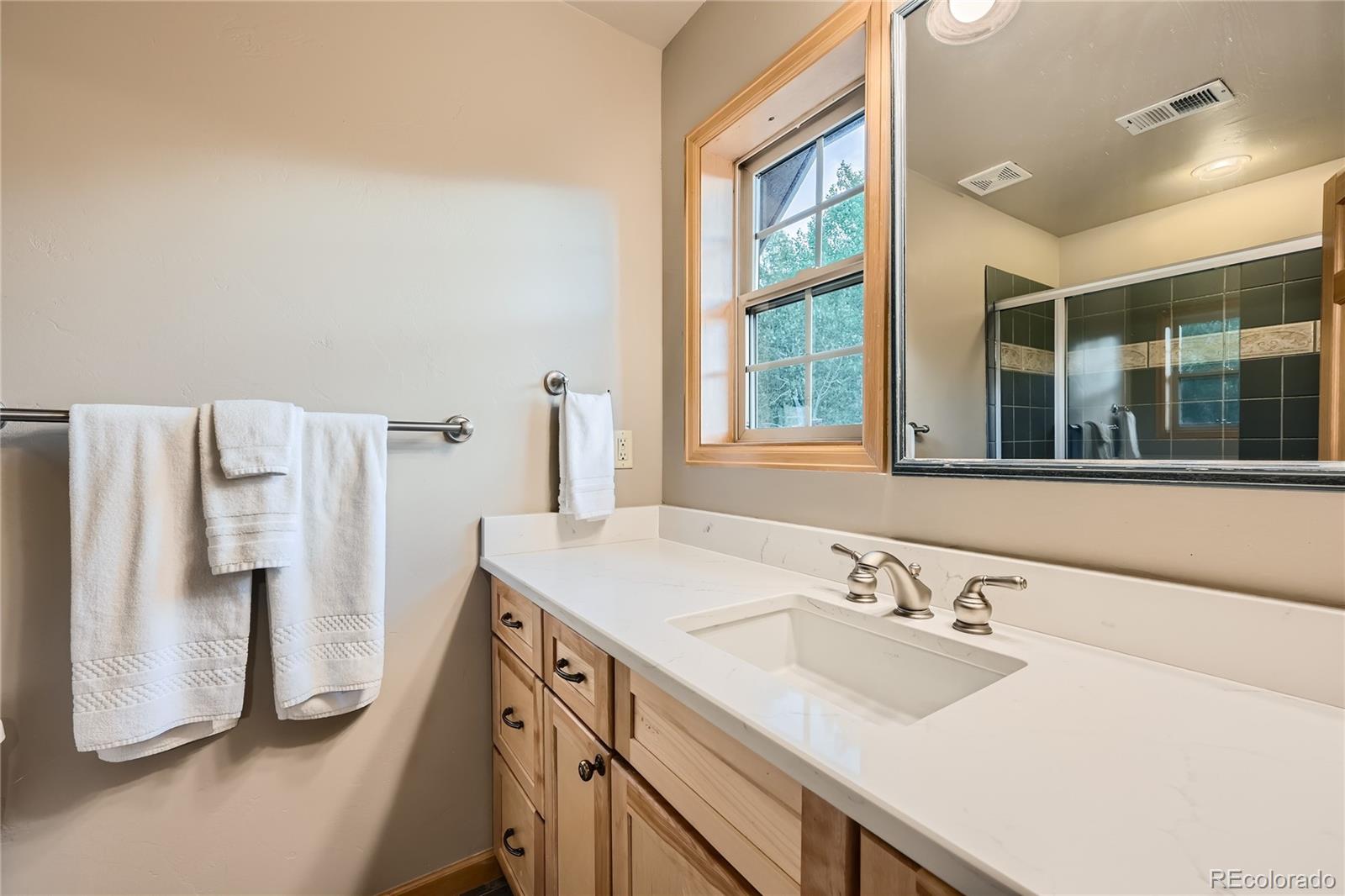 MLS Image #18 for 198  topaz road,silverthorne, Colorado