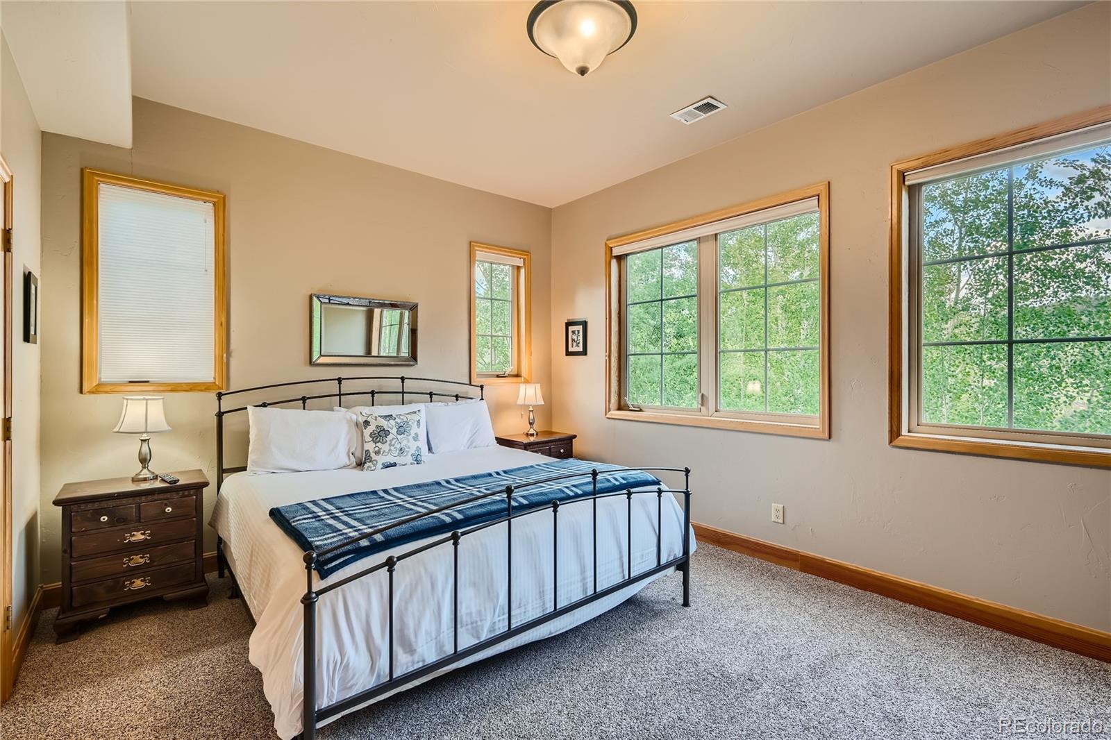 MLS Image #19 for 198  topaz road,silverthorne, Colorado