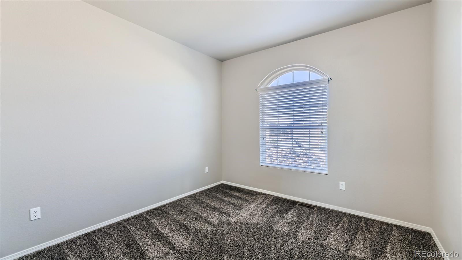 MLS Image #21 for 7137  silver buckle drive,colorado springs, Colorado