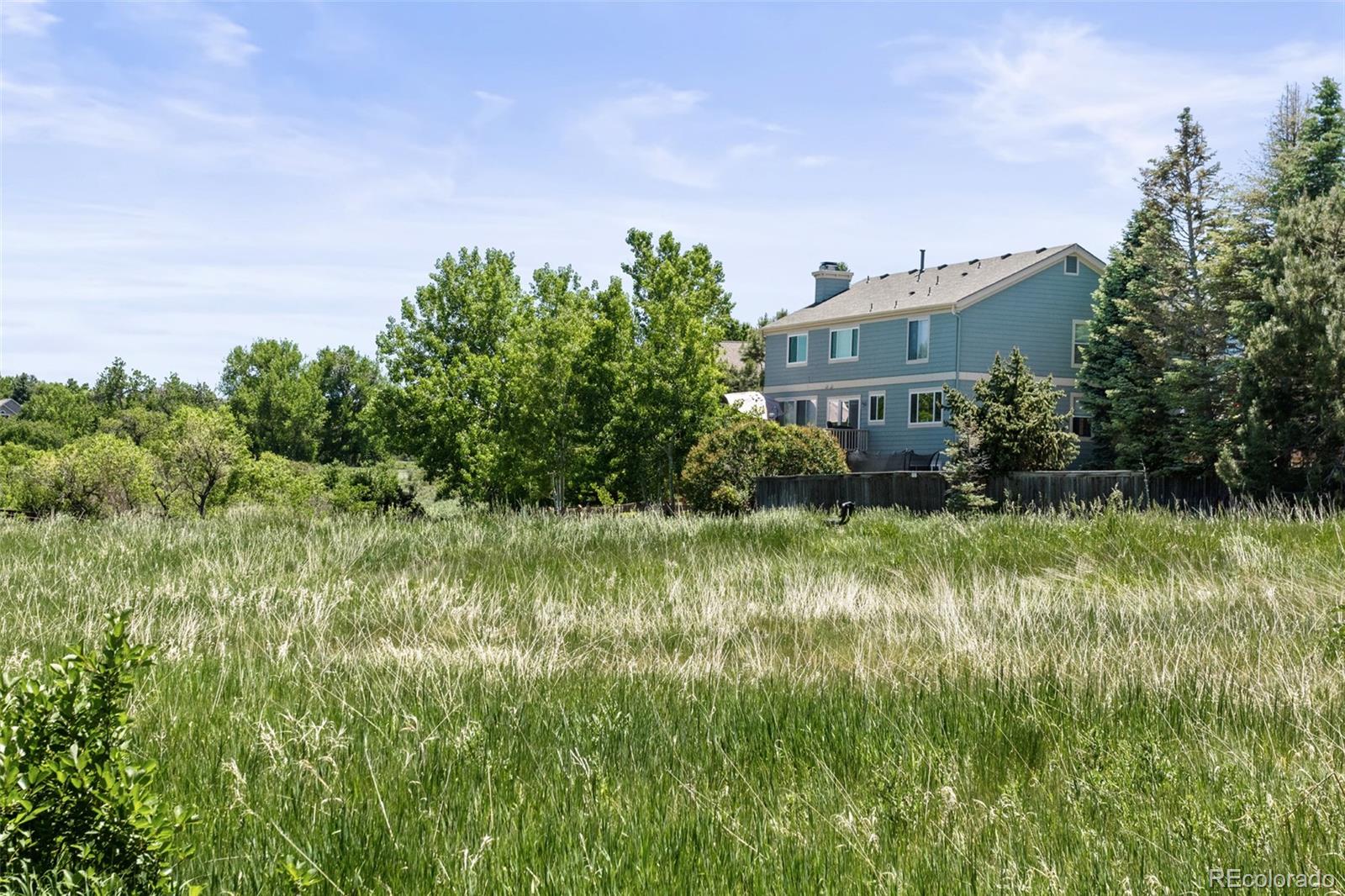 MLS Image #21 for 9028  greenspointe lane,highlands ranch, Colorado