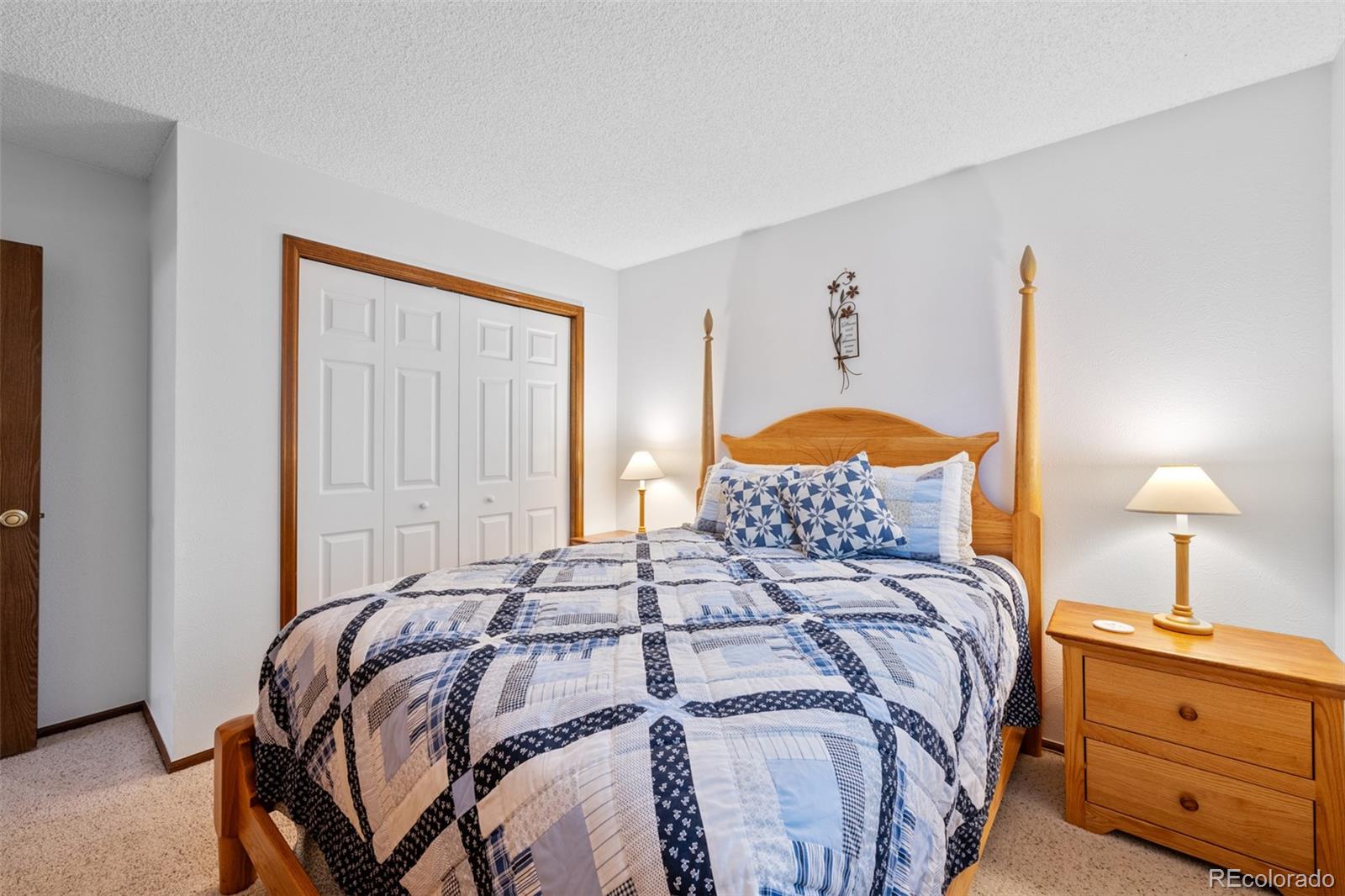 MLS Image #19 for 12144 w vail pass,littleton, Colorado