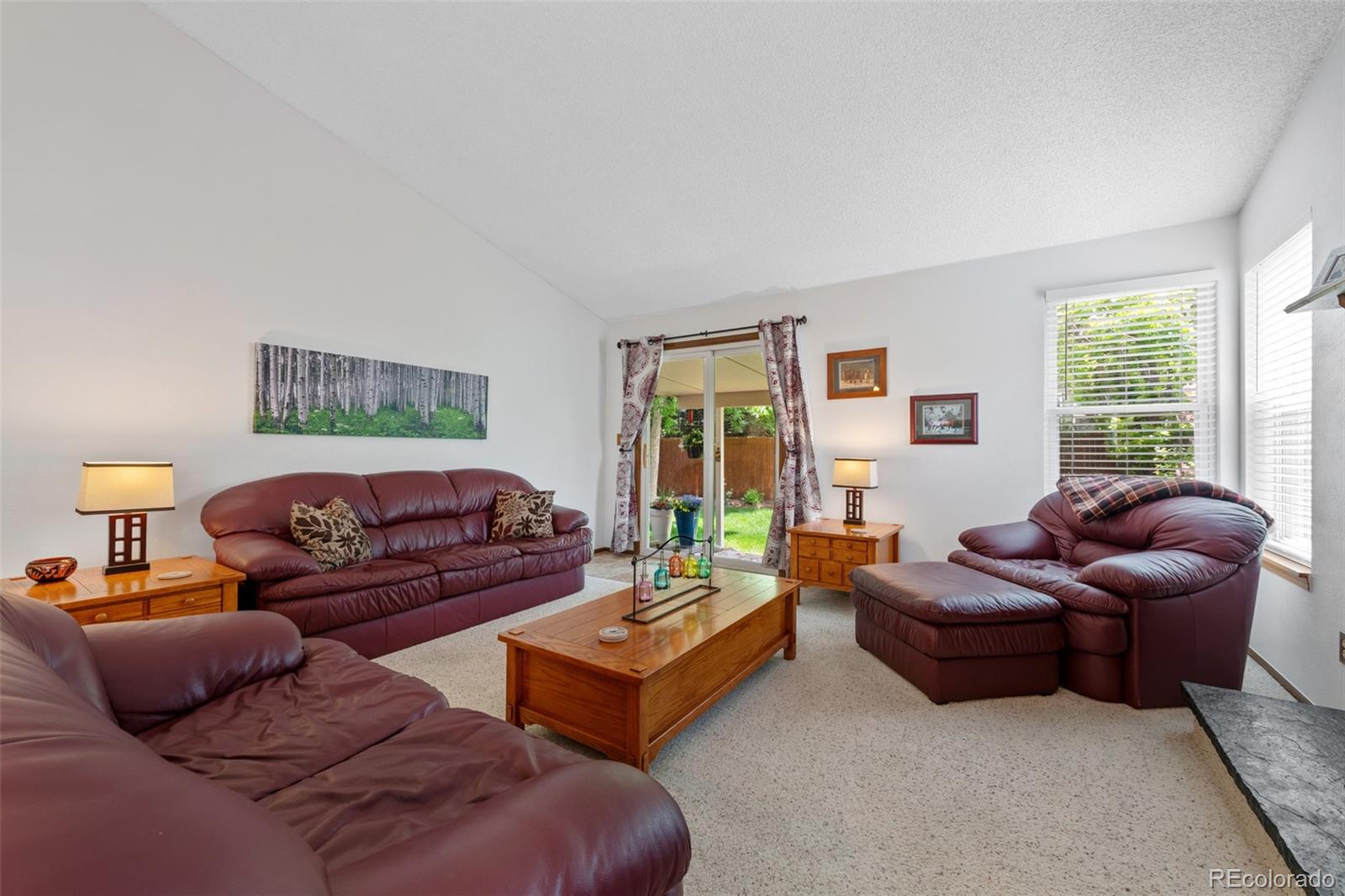 MLS Image #9 for 12144 w vail pass,littleton, Colorado