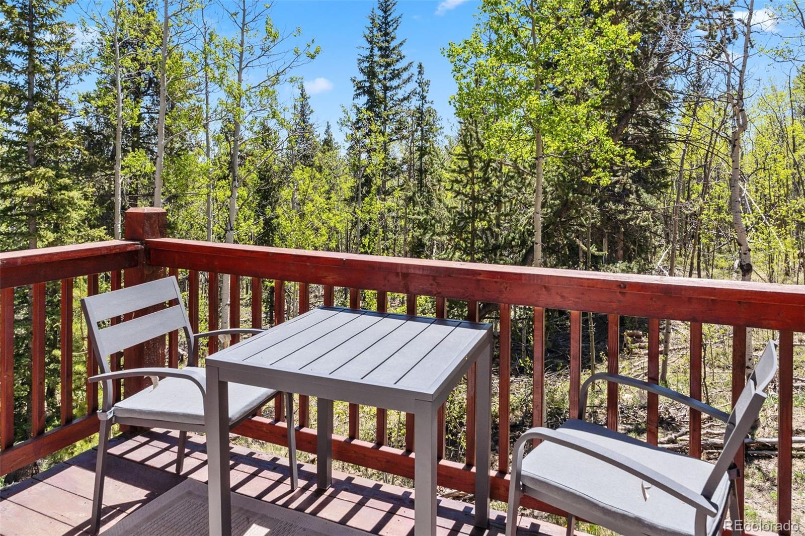 MLS Image #9 for 1028  quarry road,fairplay, Colorado