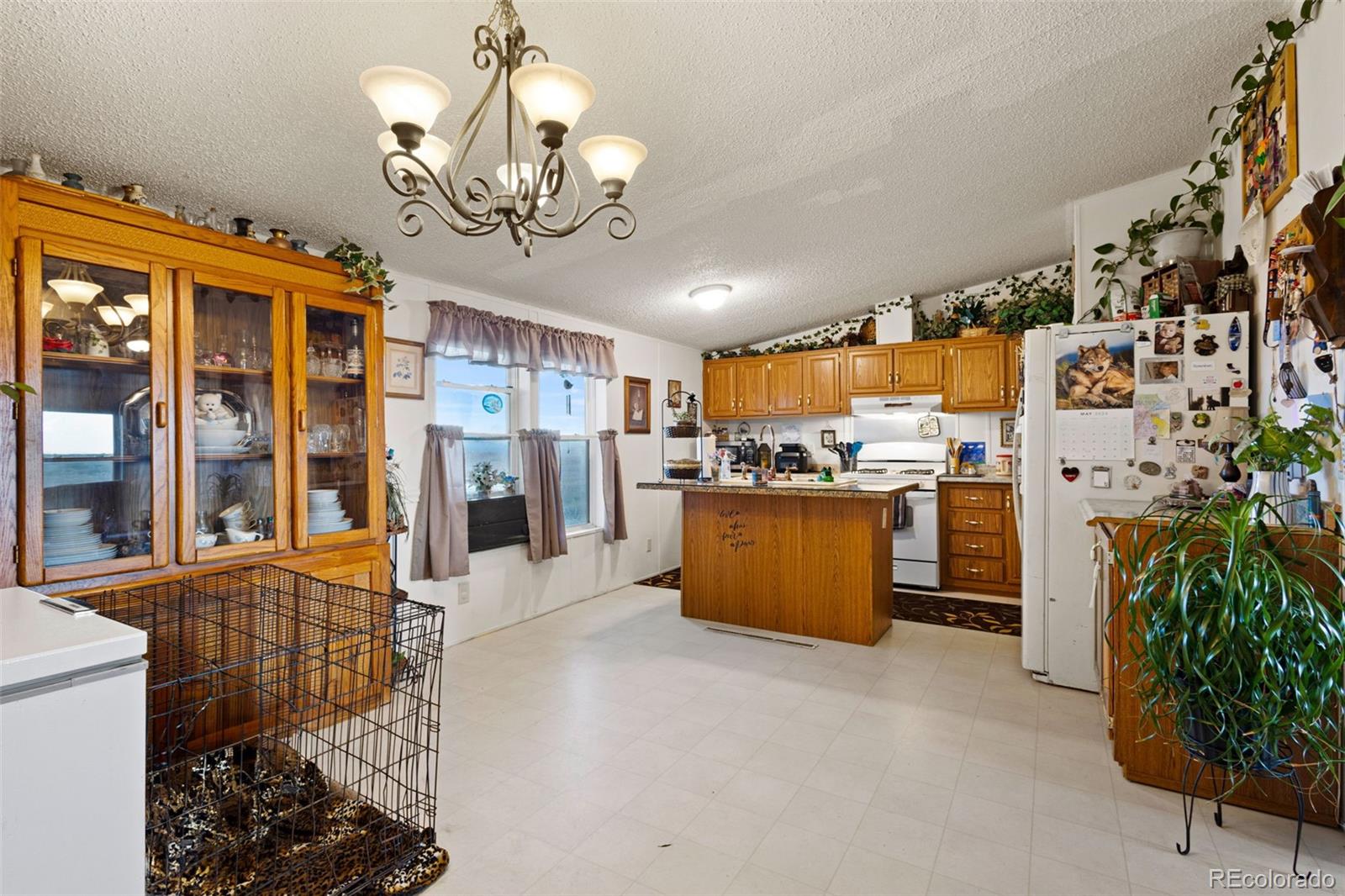 MLS Image #19 for 36015  corona road,yoder, Colorado