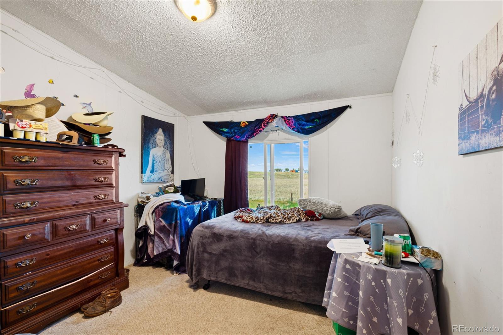 MLS Image #23 for 36015  corona road,yoder, Colorado