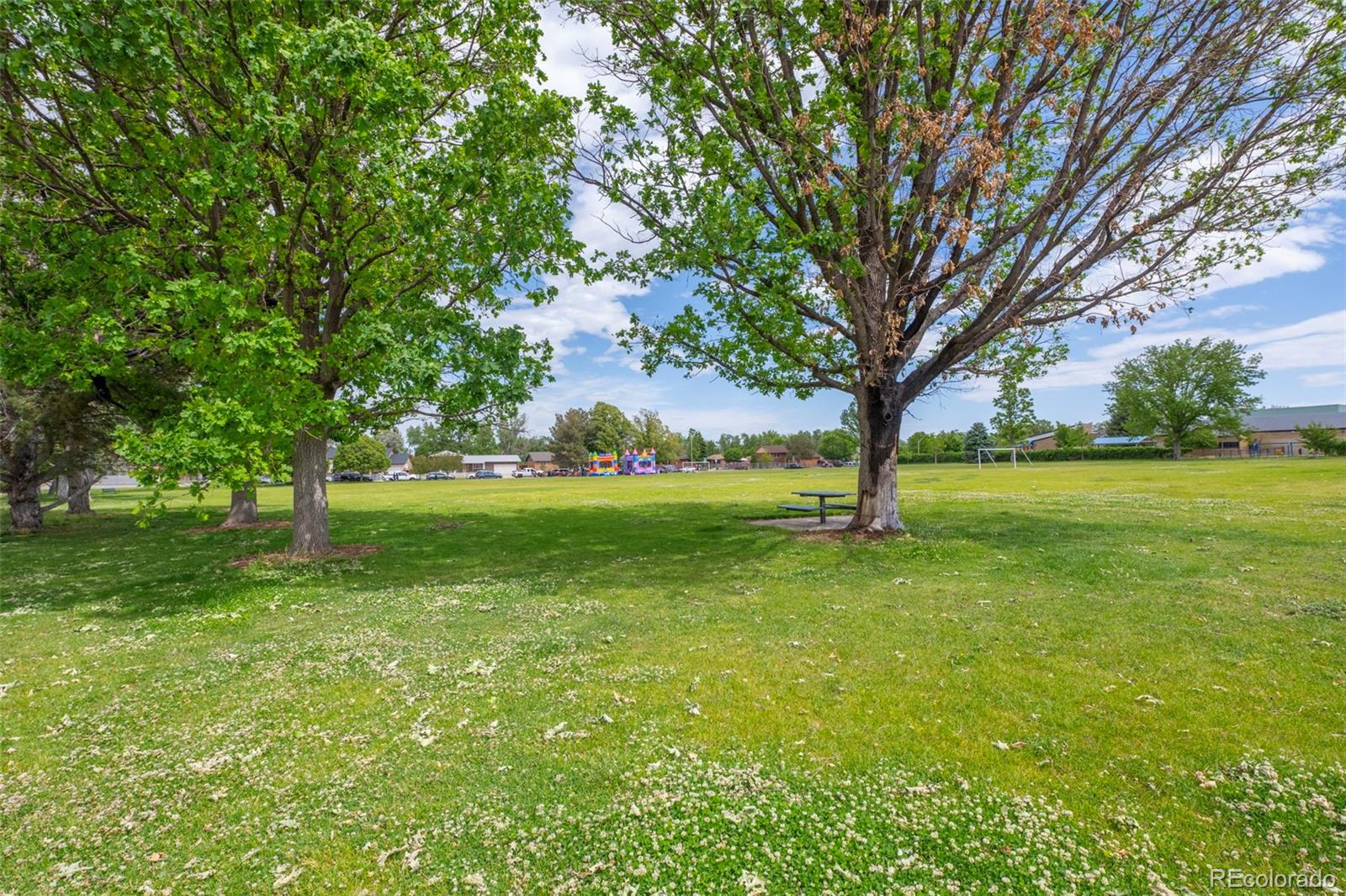 MLS Image #26 for 5315  deephaven court,denver, Colorado