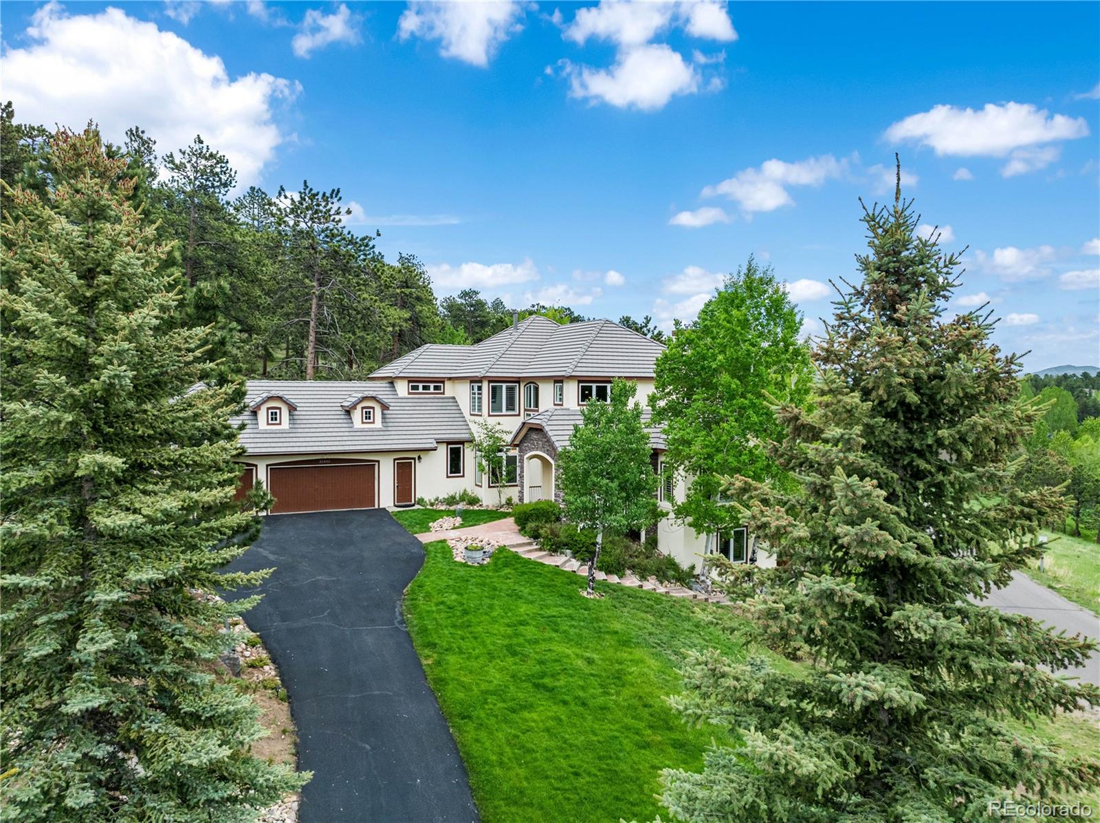 MLS Image #3 for 30495  telluride lane,evergreen, Colorado