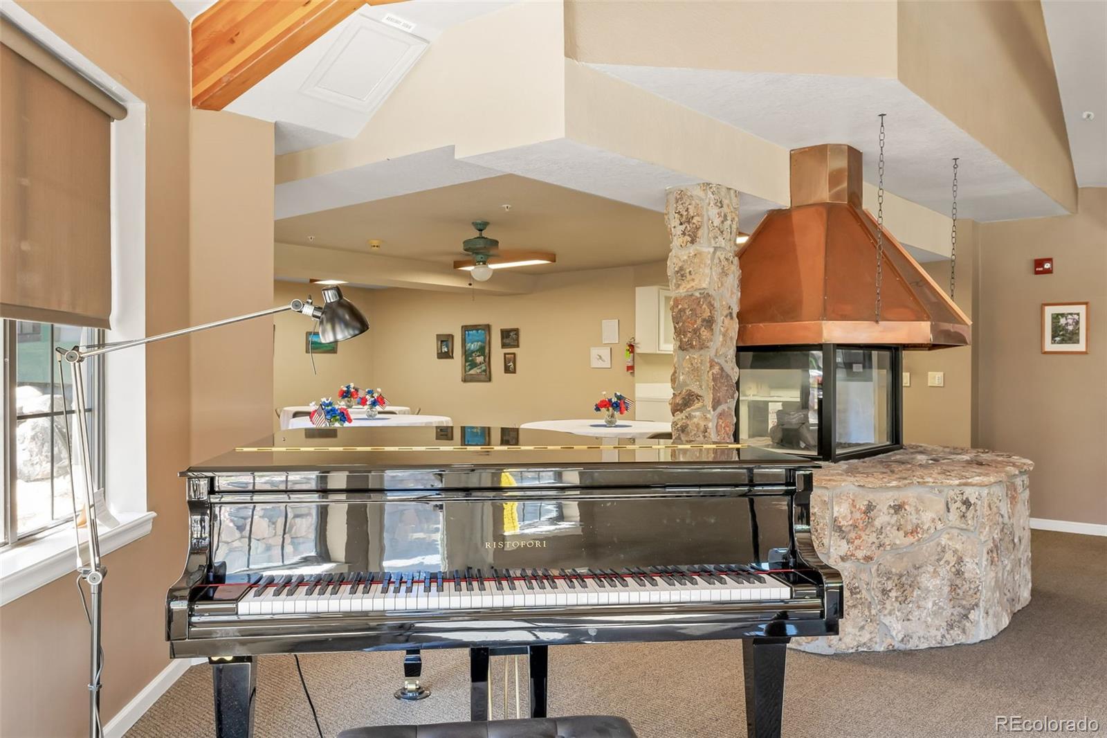 MLS Image #21 for 31719  rocky village drive,evergreen, Colorado