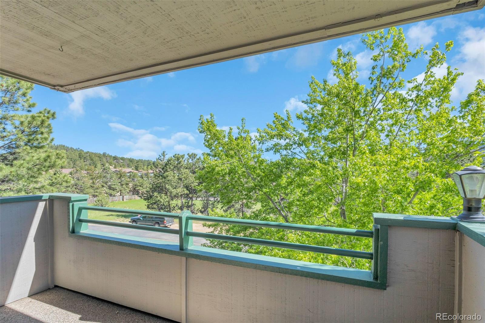 MLS Image #9 for 31719  rocky village drive,evergreen, Colorado