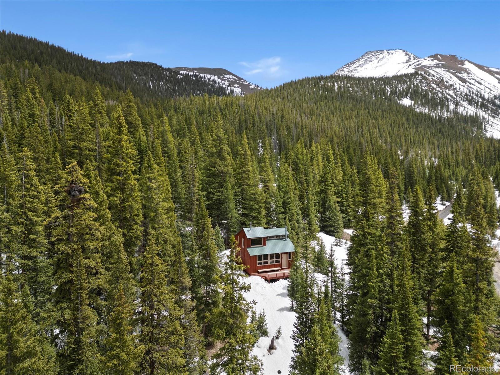 MLS Image #10 for 5461  french gulch road,breckenridge, Colorado