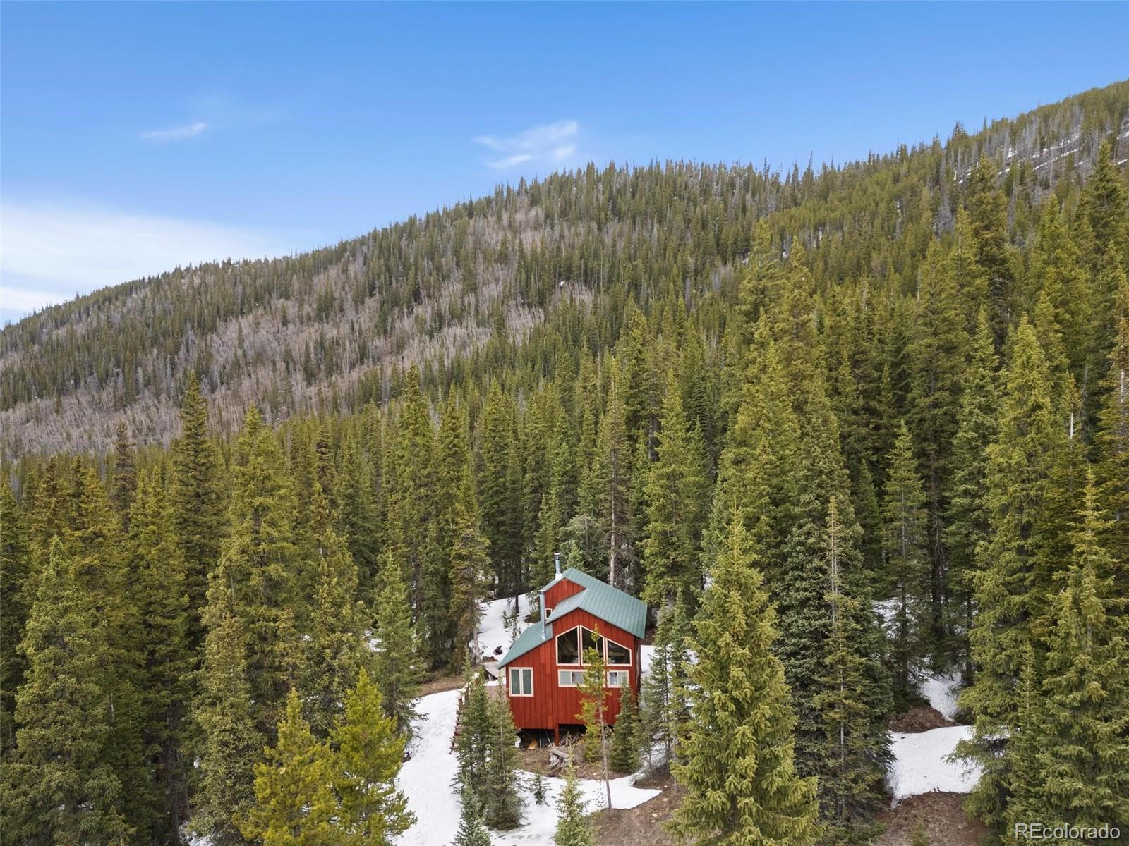 MLS Image #14 for 5461  french gulch road,breckenridge, Colorado