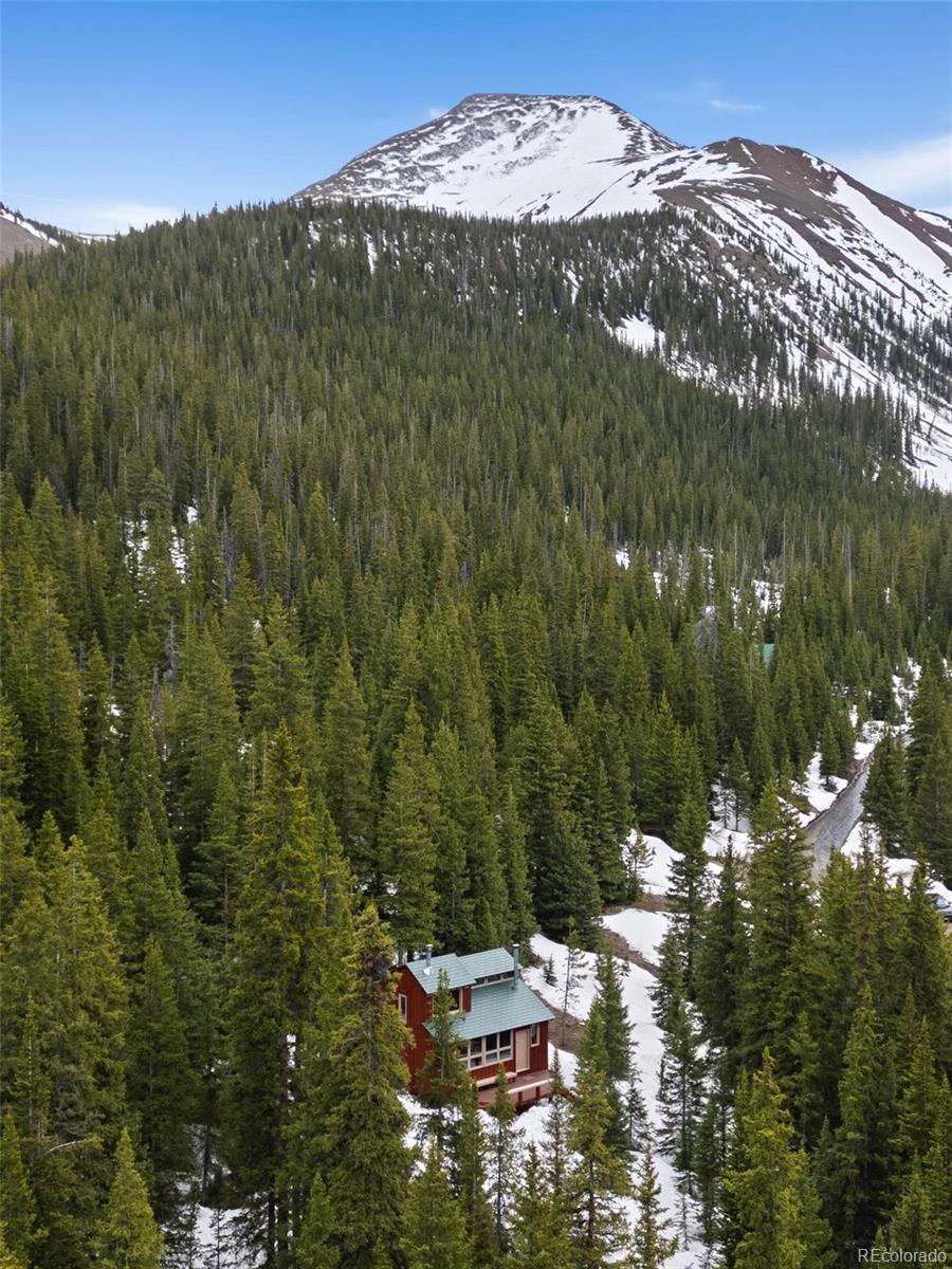 MLS Image #16 for 5461  french gulch road,breckenridge, Colorado