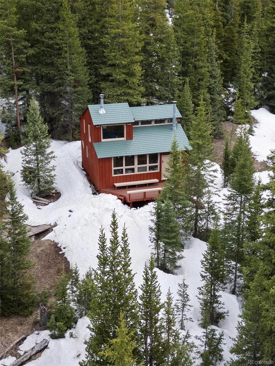 MLS Image #17 for 5461  french gulch road,breckenridge, Colorado