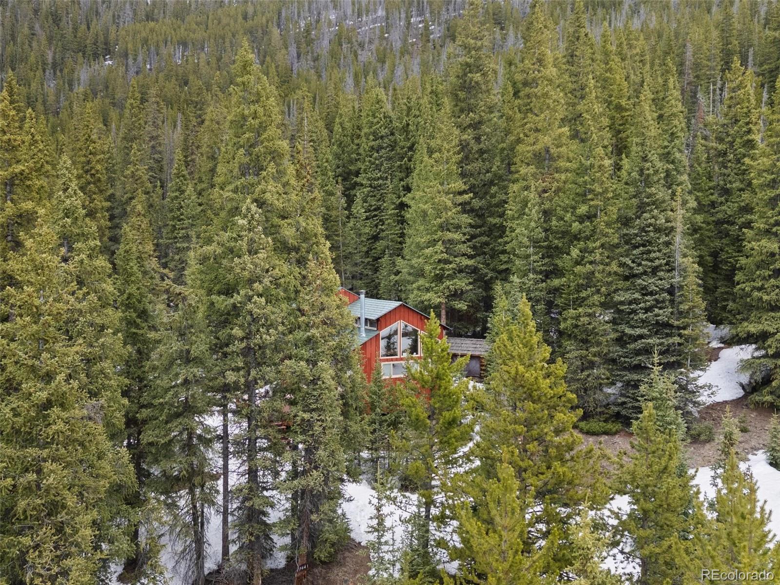 MLS Image #18 for 5461  french gulch road,breckenridge, Colorado