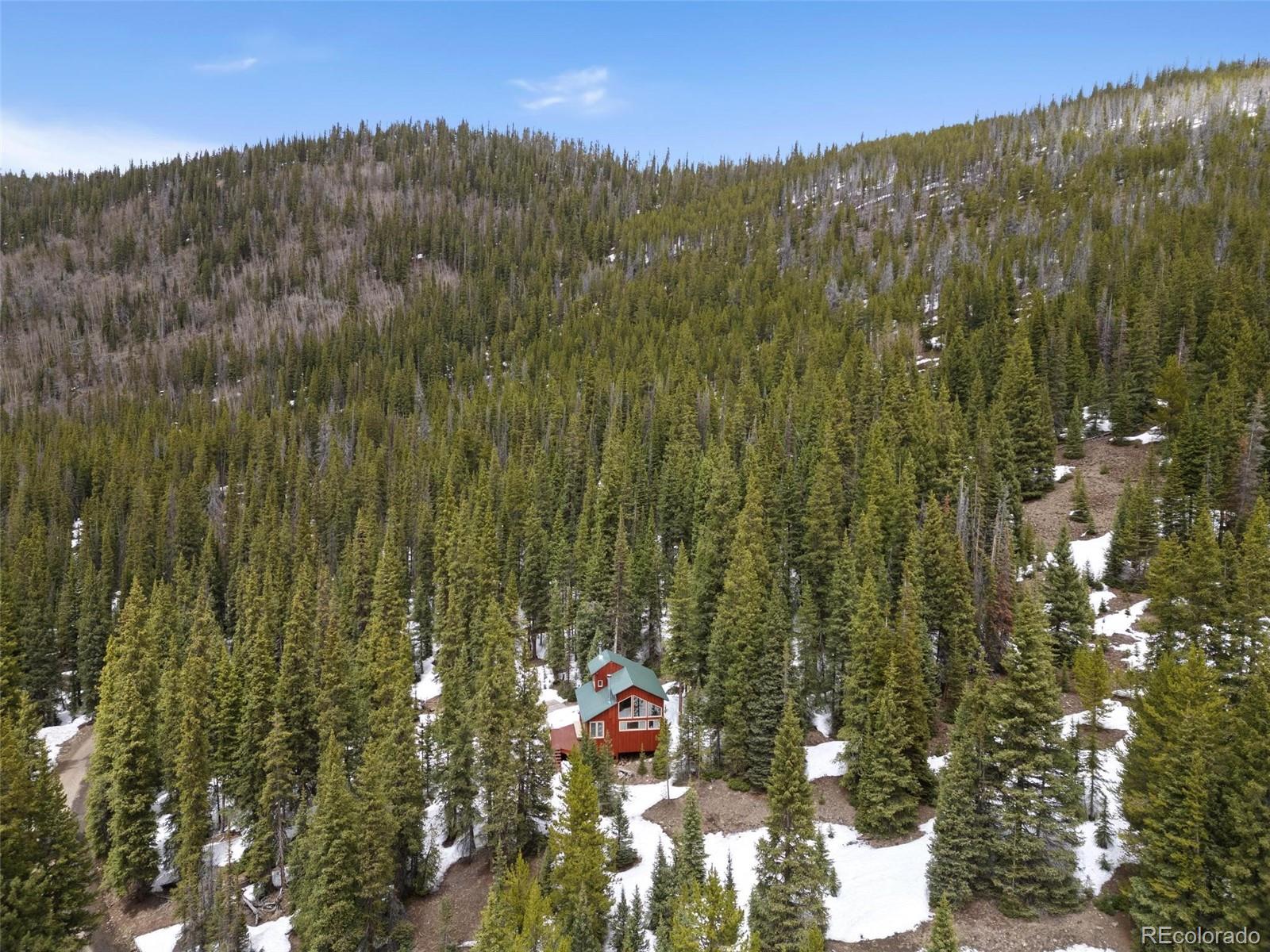 MLS Image #20 for 5461  french gulch road,breckenridge, Colorado