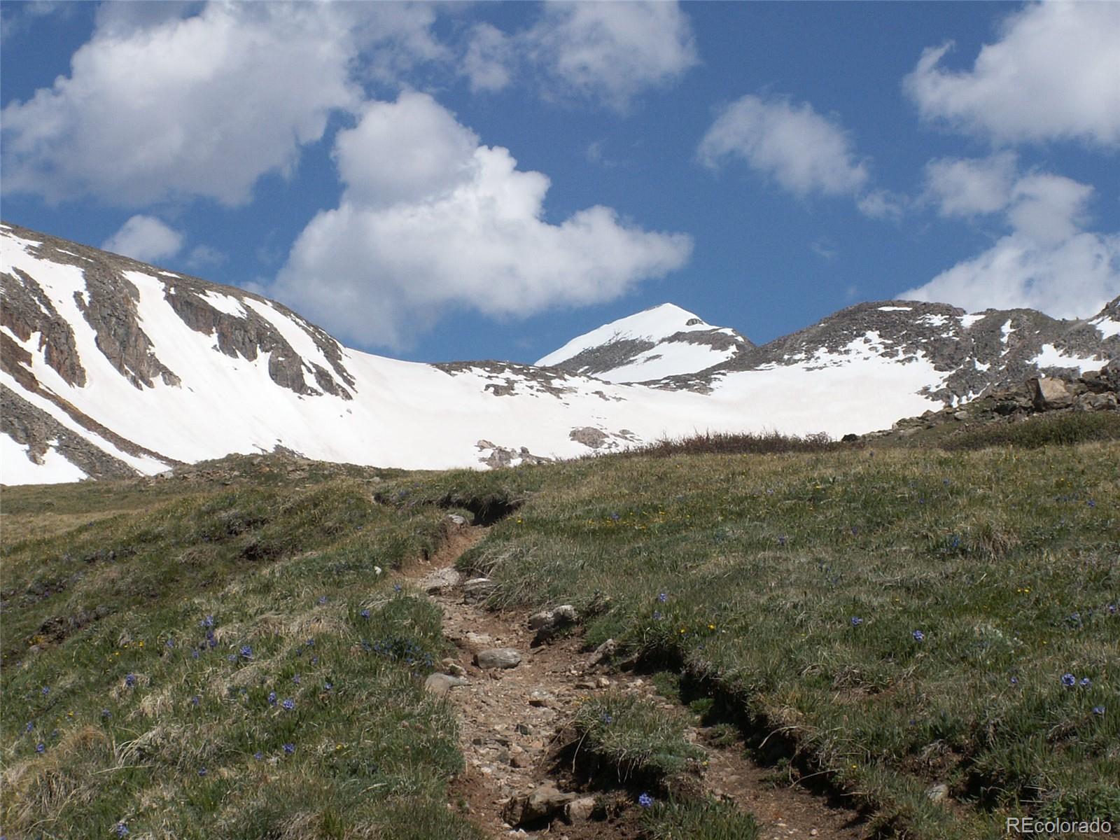 MLS Image #9 for 5461  french gulch road,breckenridge, Colorado