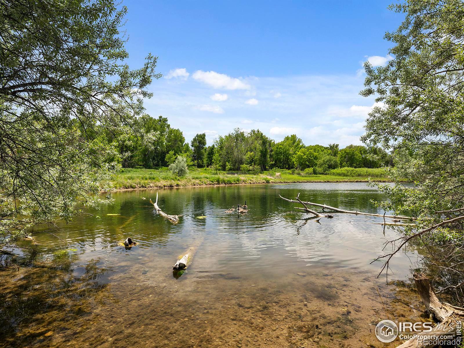 MLS Image #18 for 1705  heatheridge road,fort collins, Colorado