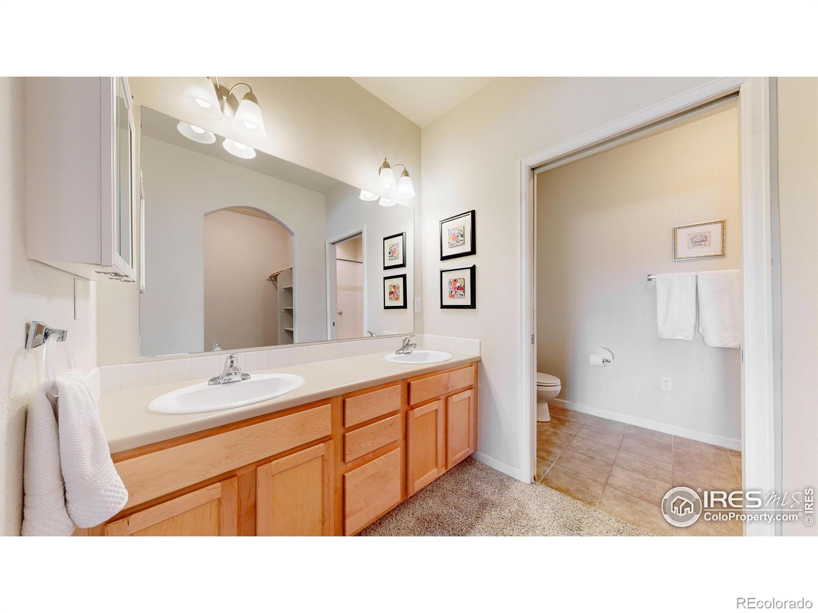 MLS Image #19 for 2303  owens avenue,fort collins, Colorado