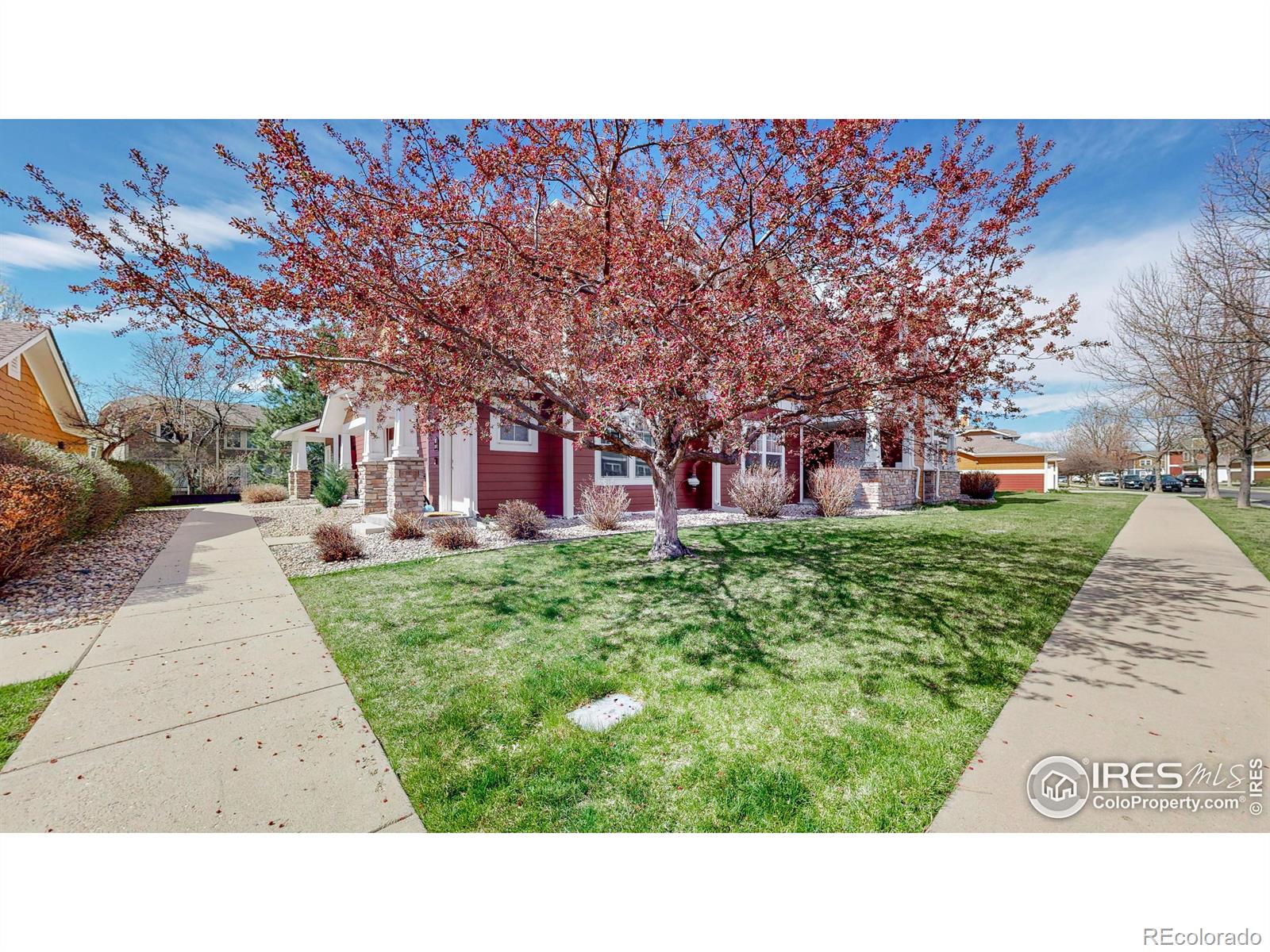 MLS Image #24 for 2303  owens avenue,fort collins, Colorado