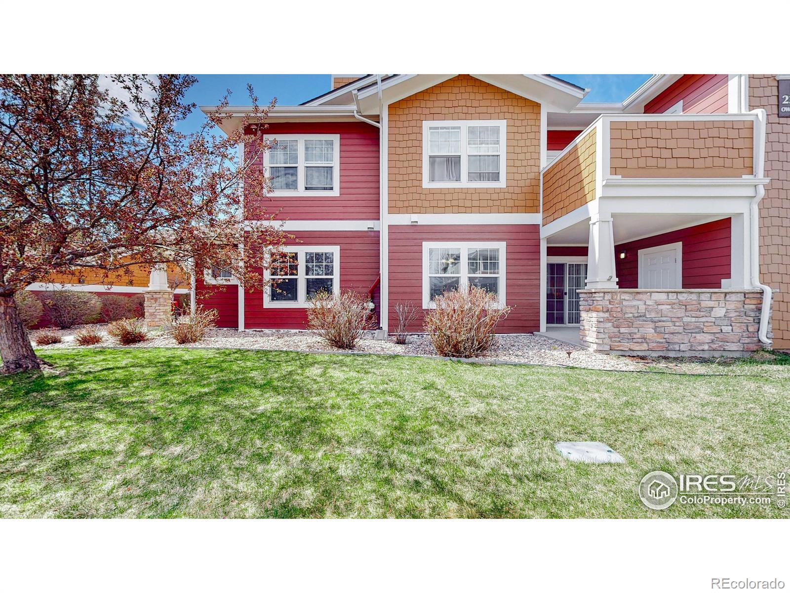 MLS Image #25 for 2303  owens avenue,fort collins, Colorado