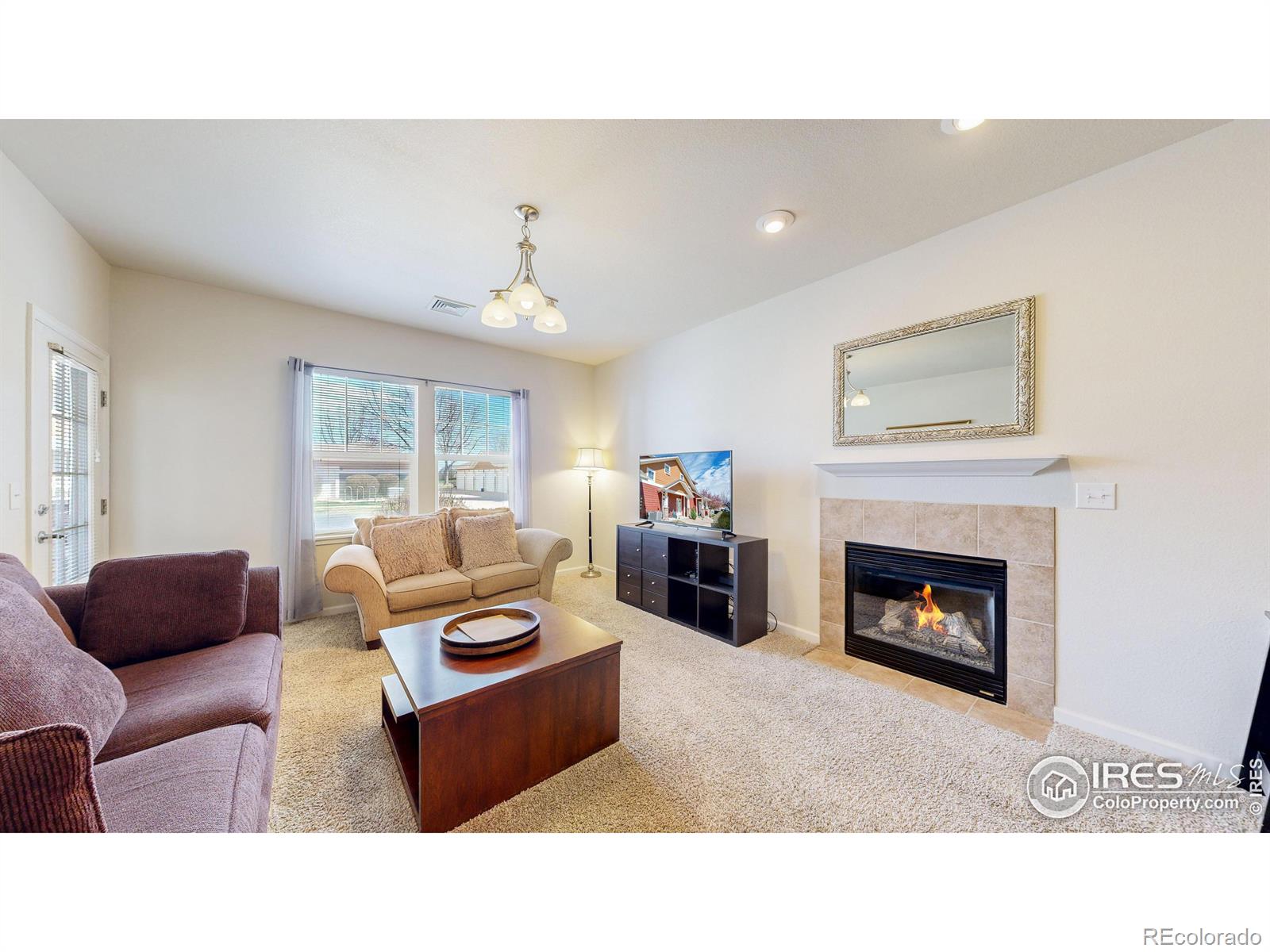 MLS Image #8 for 2303  owens avenue,fort collins, Colorado