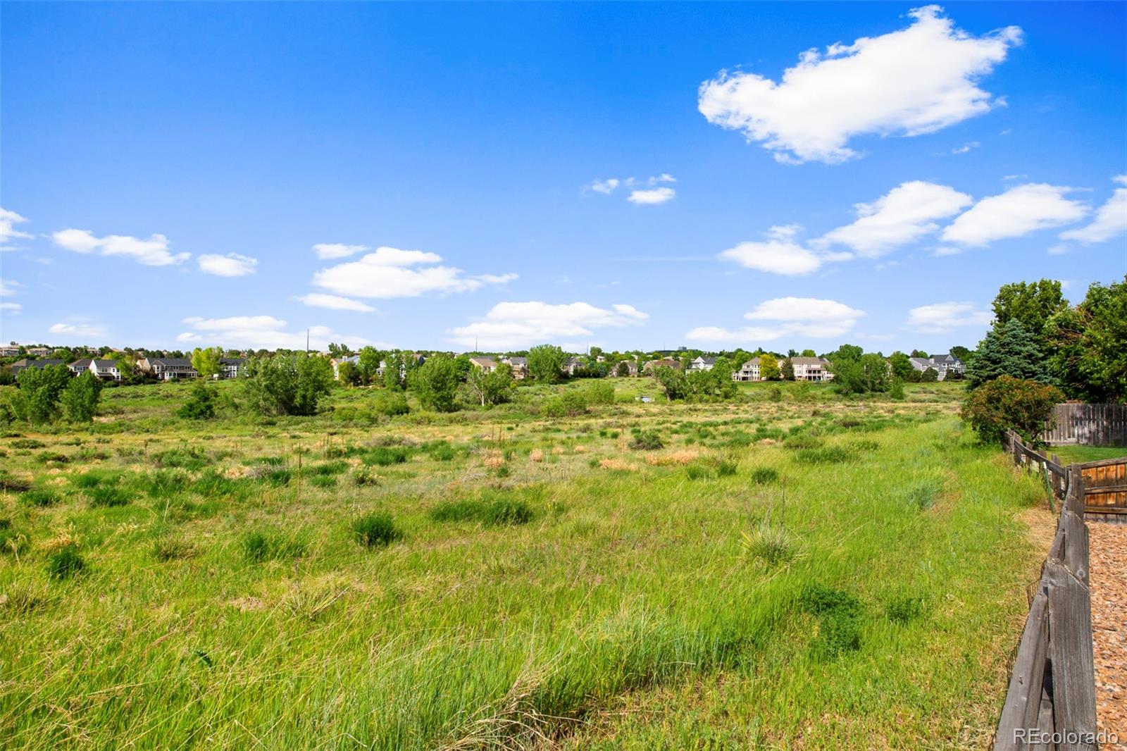 MLS Image #30 for 9387  cove creek drive,highlands ranch, Colorado