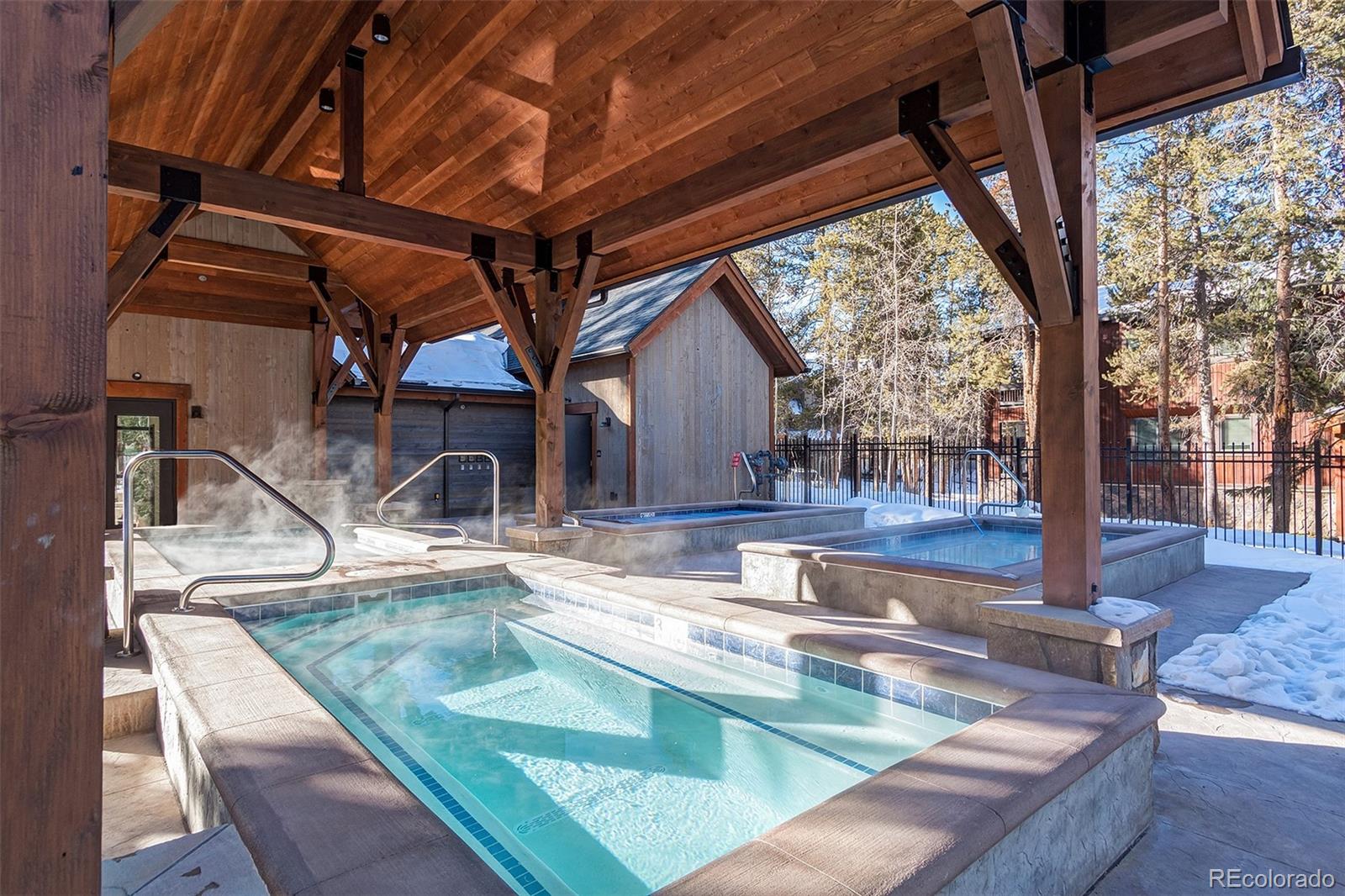 MLS Image #17 for 800  columbine road 4,breckenridge, Colorado