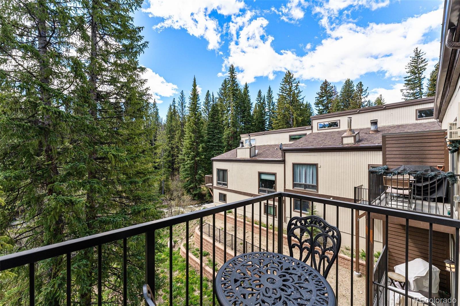 MLS Image #10 for 500  vasquez road 7a,winter park, Colorado