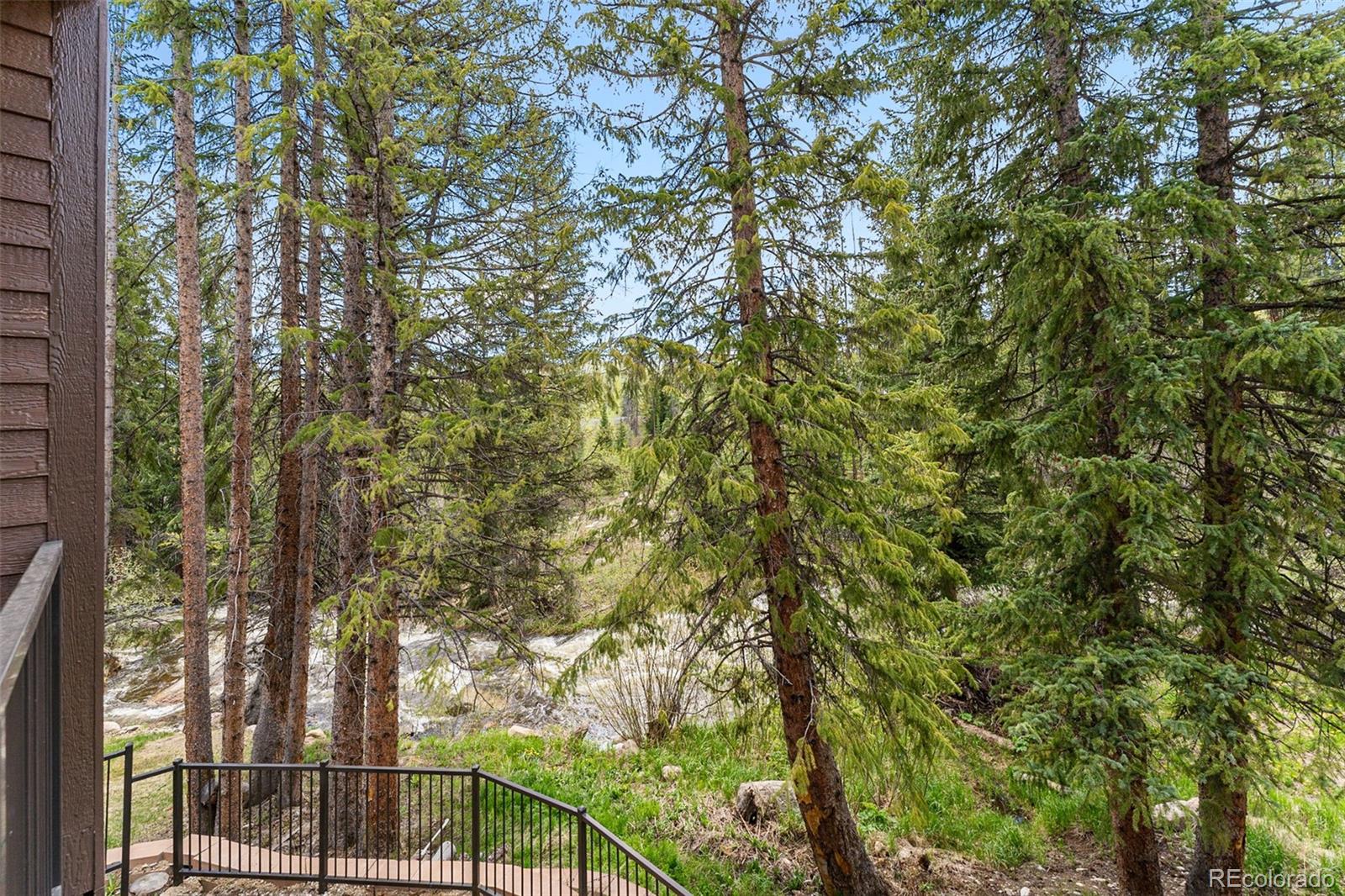 MLS Image #25 for 500  vasquez road 7a,winter park, Colorado