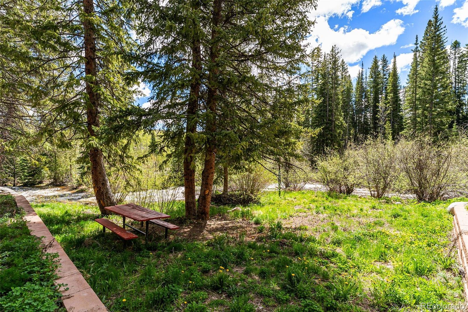 MLS Image #46 for 500  vasquez road 7a,winter park, Colorado