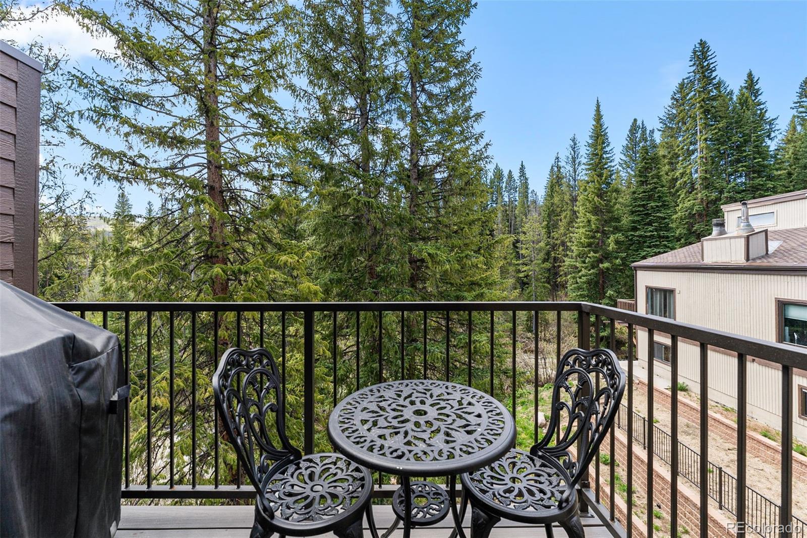 MLS Image #7 for 500  vasquez road 7a,winter park, Colorado