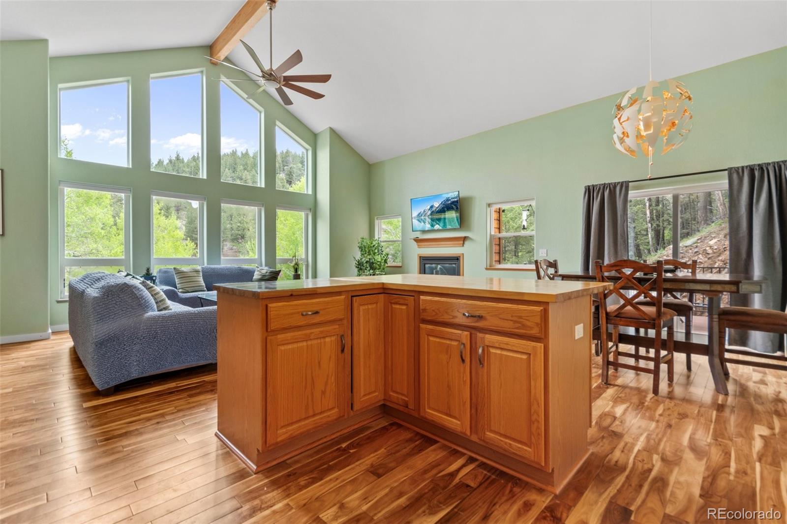 MLS Image #21 for 456  brookside drive,bailey, Colorado