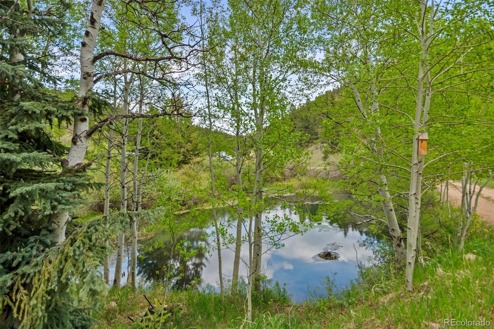 MLS Image #37 for 456  brookside drive,bailey, Colorado