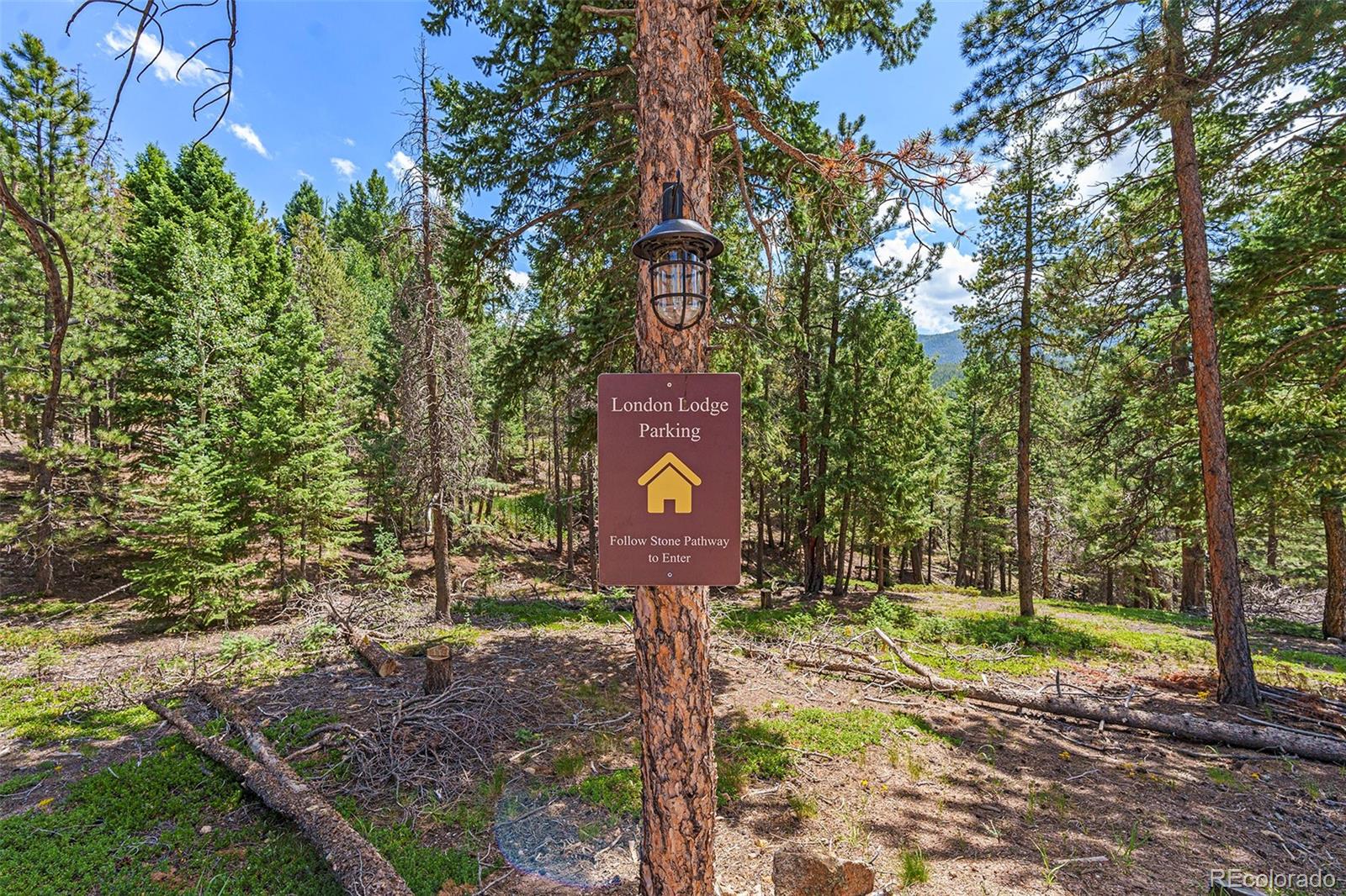 MLS Image #48 for 8331  london lane,conifer, Colorado