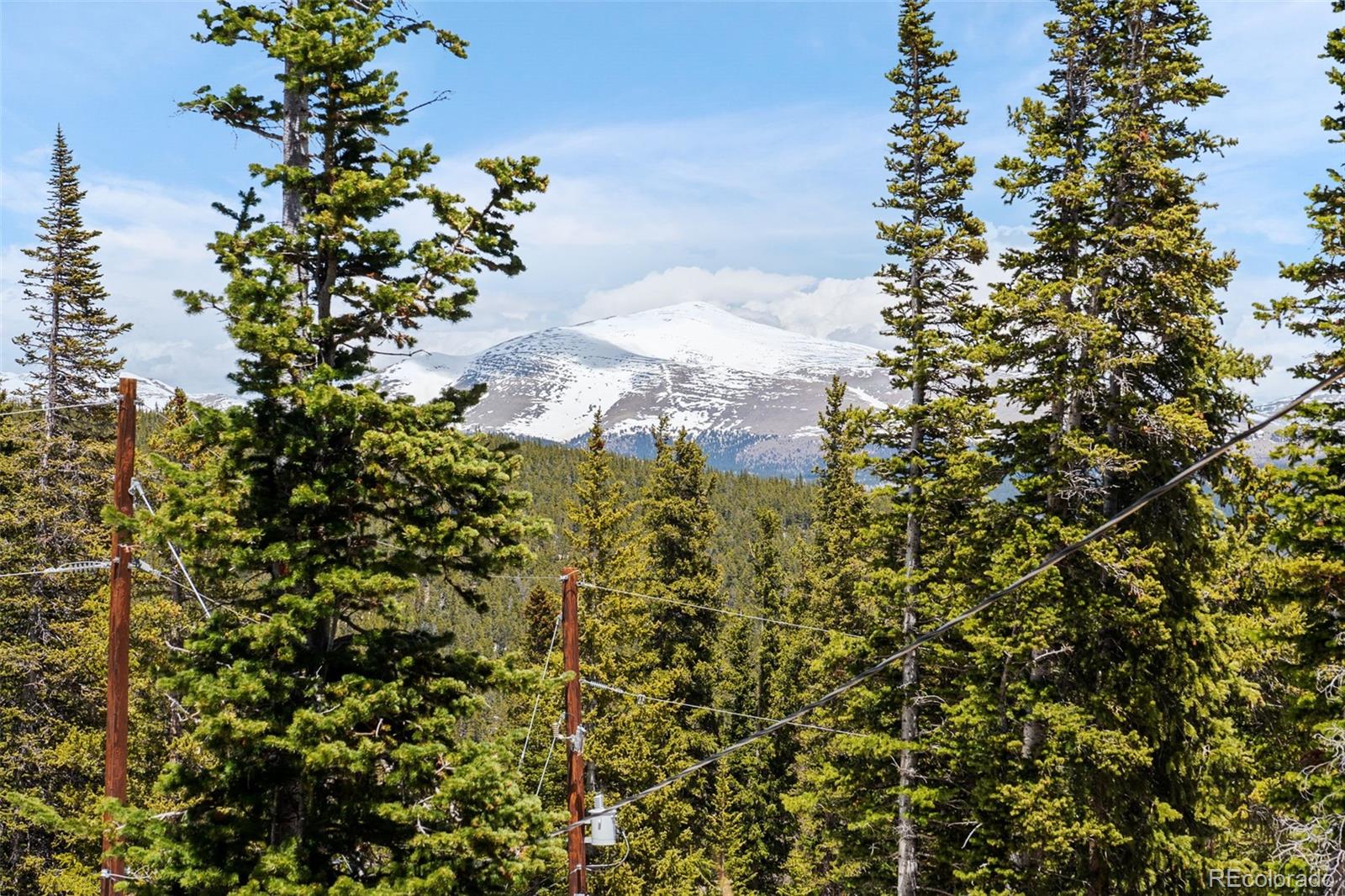 MLS Image #25 for 85  bum drive,fairplay, Colorado