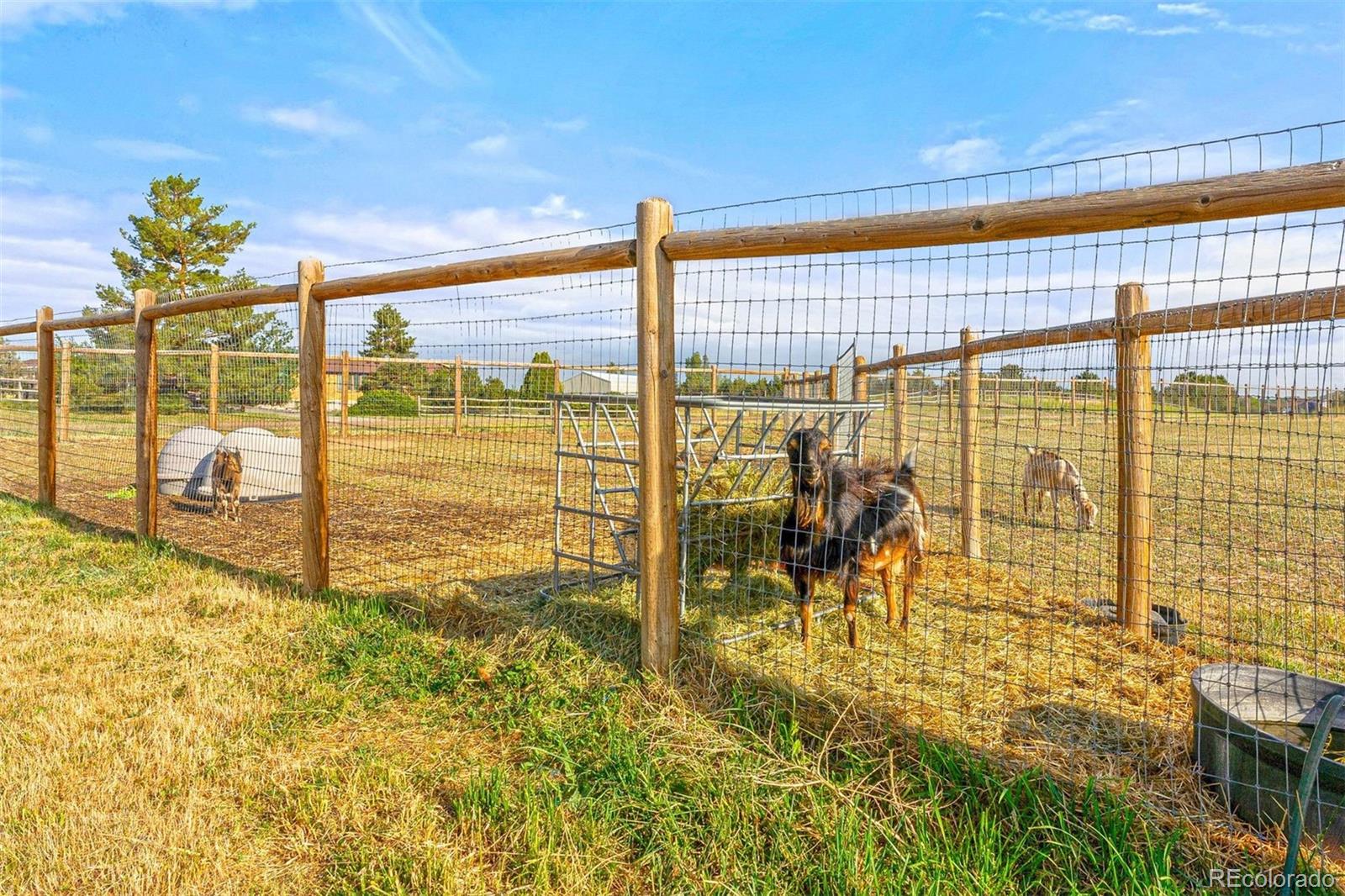 MLS Image #43 for 14217  downing street,brighton, Colorado